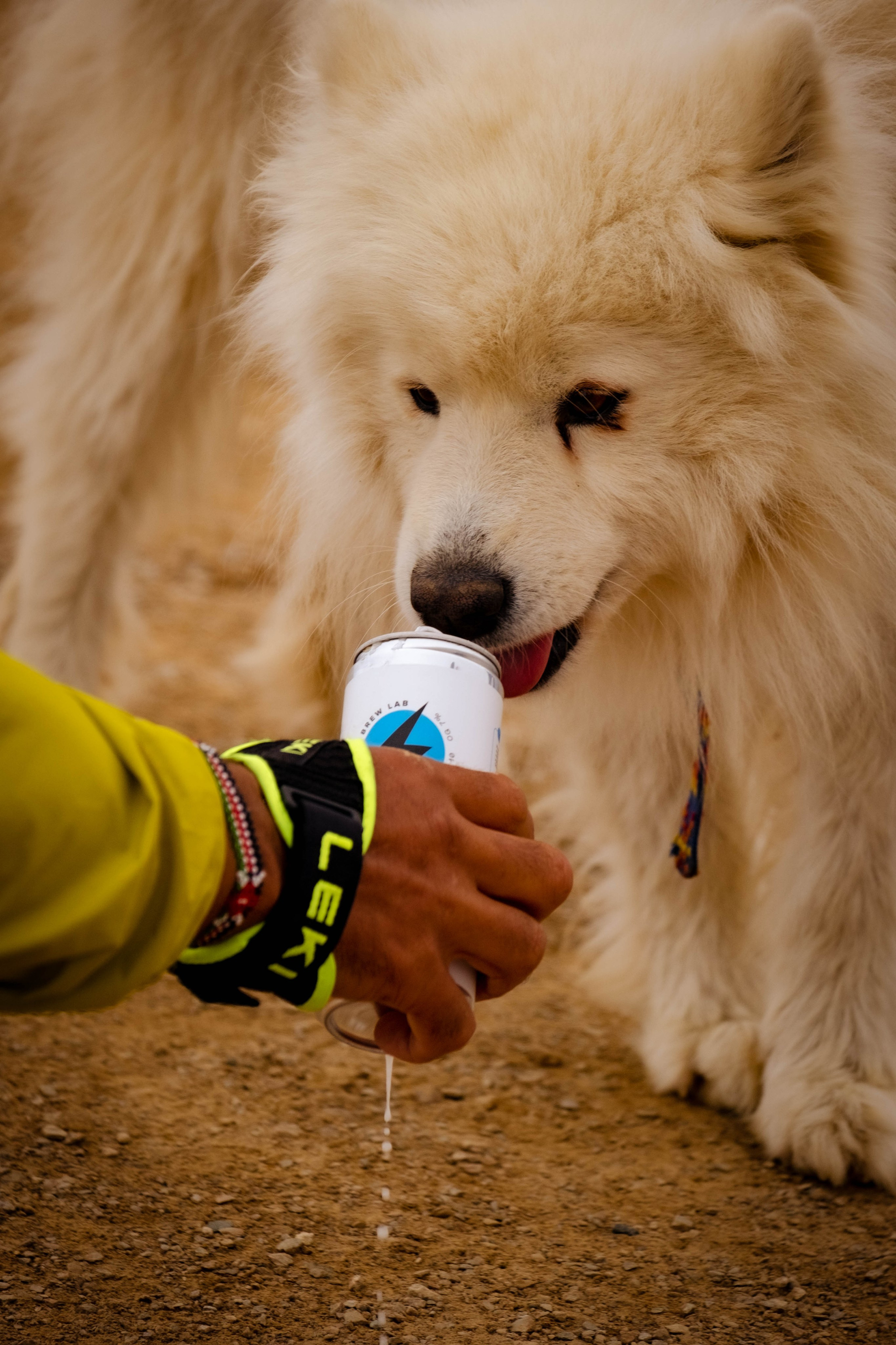 Wild Siberia Xtreme Triathlon. Фотограф |Герасимова София