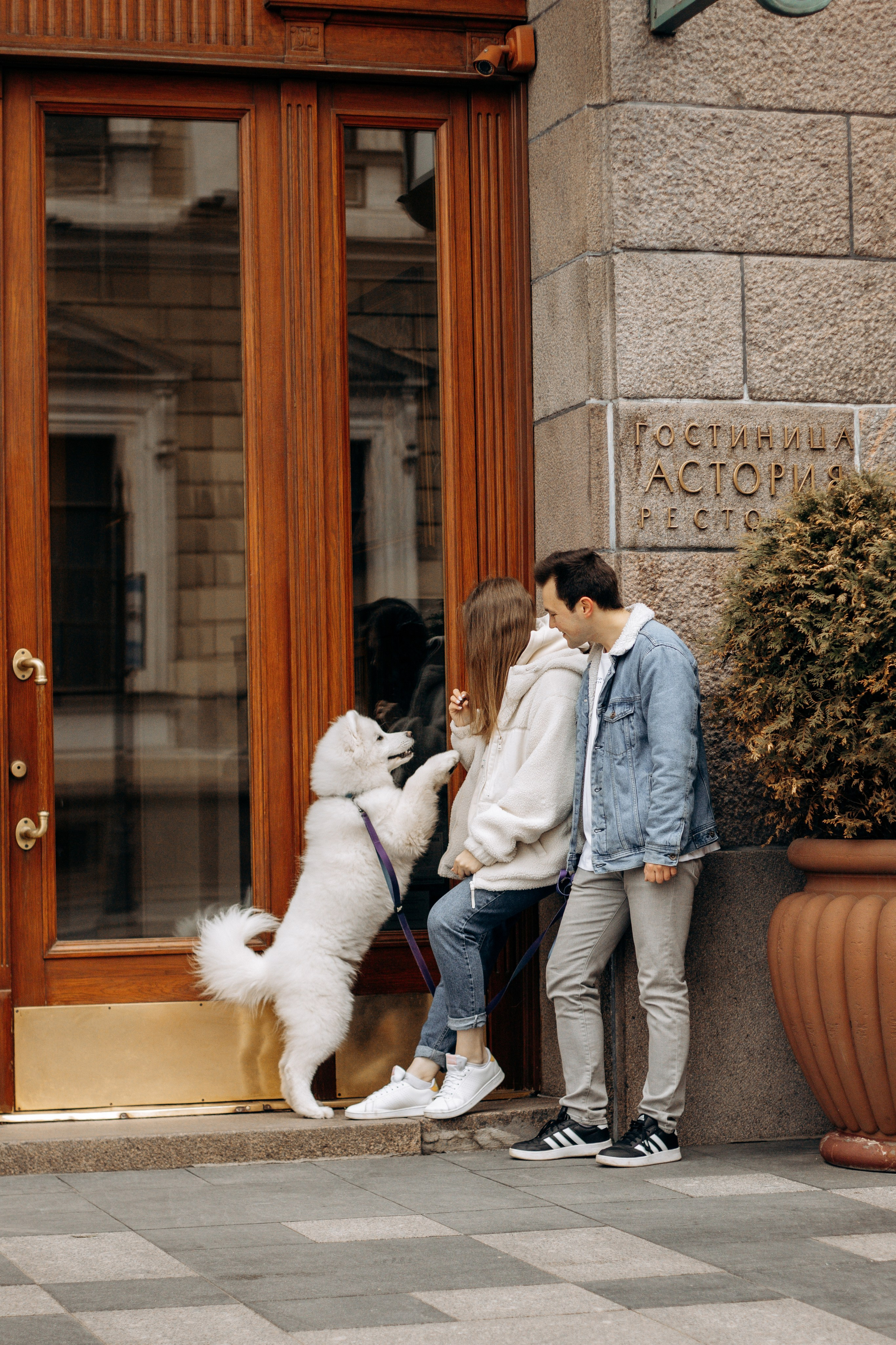 Юля, Миша и Мью. Фотограф-анималист в Санкт-Петербурге