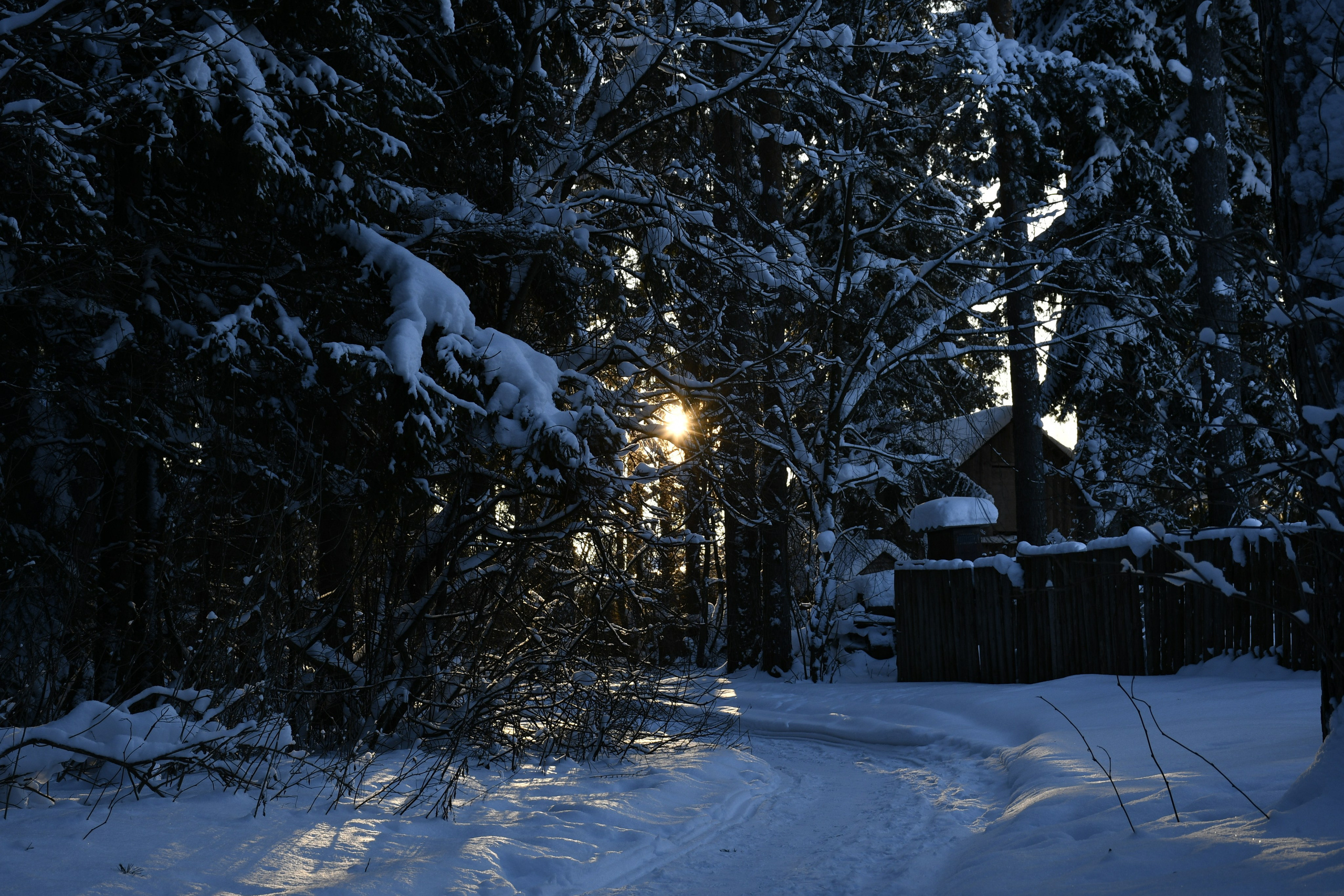 Природа. Анастасия Куц | фотограф | Пермский край