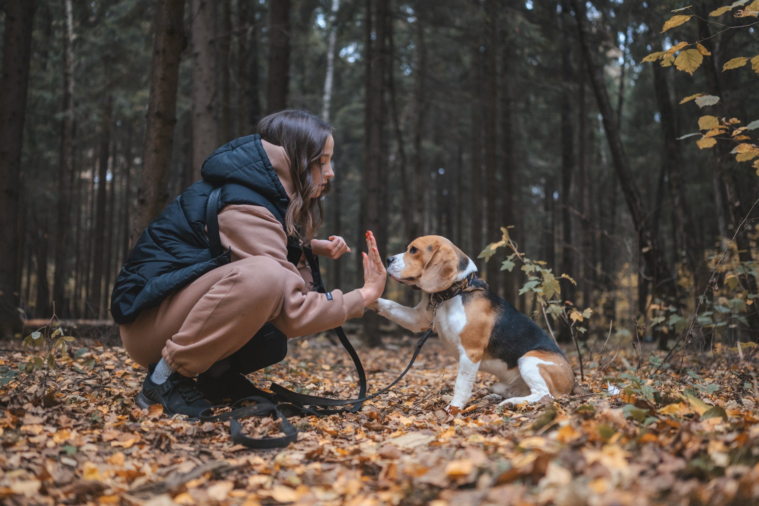 Наталья и Бока. Фотограф Анималист в Москве Анастасия Жучкова