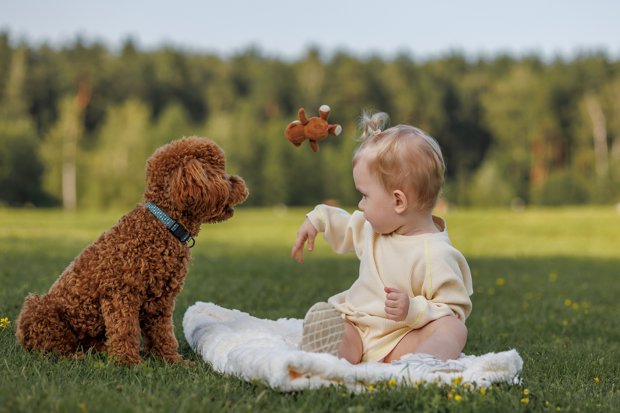 Алина и Лариса. Фотограф Анималист в Москве Анастасия Жучкова