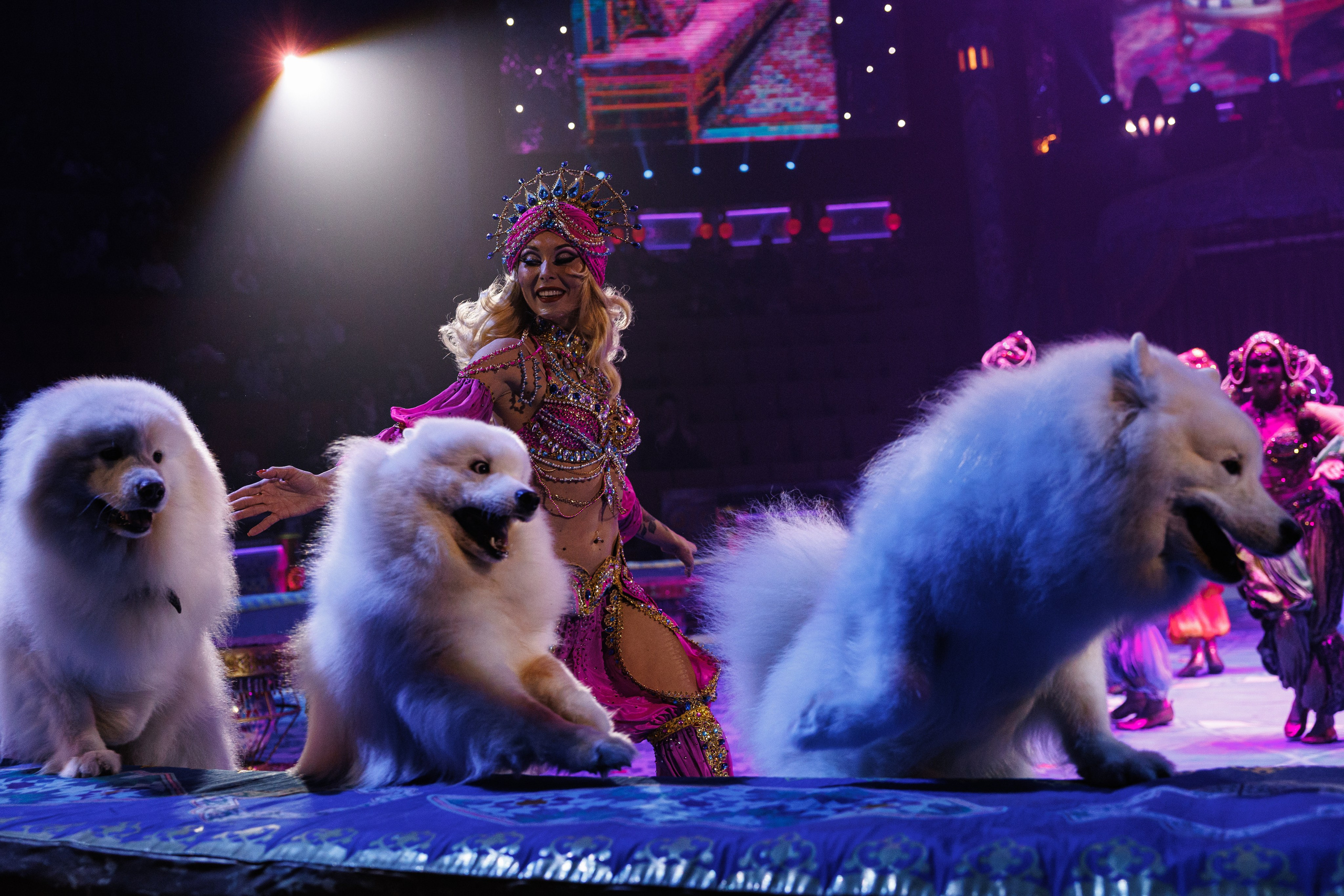 Цирк «Песчаная Сказка». Фотограф Ставрополь Петр Голубенко