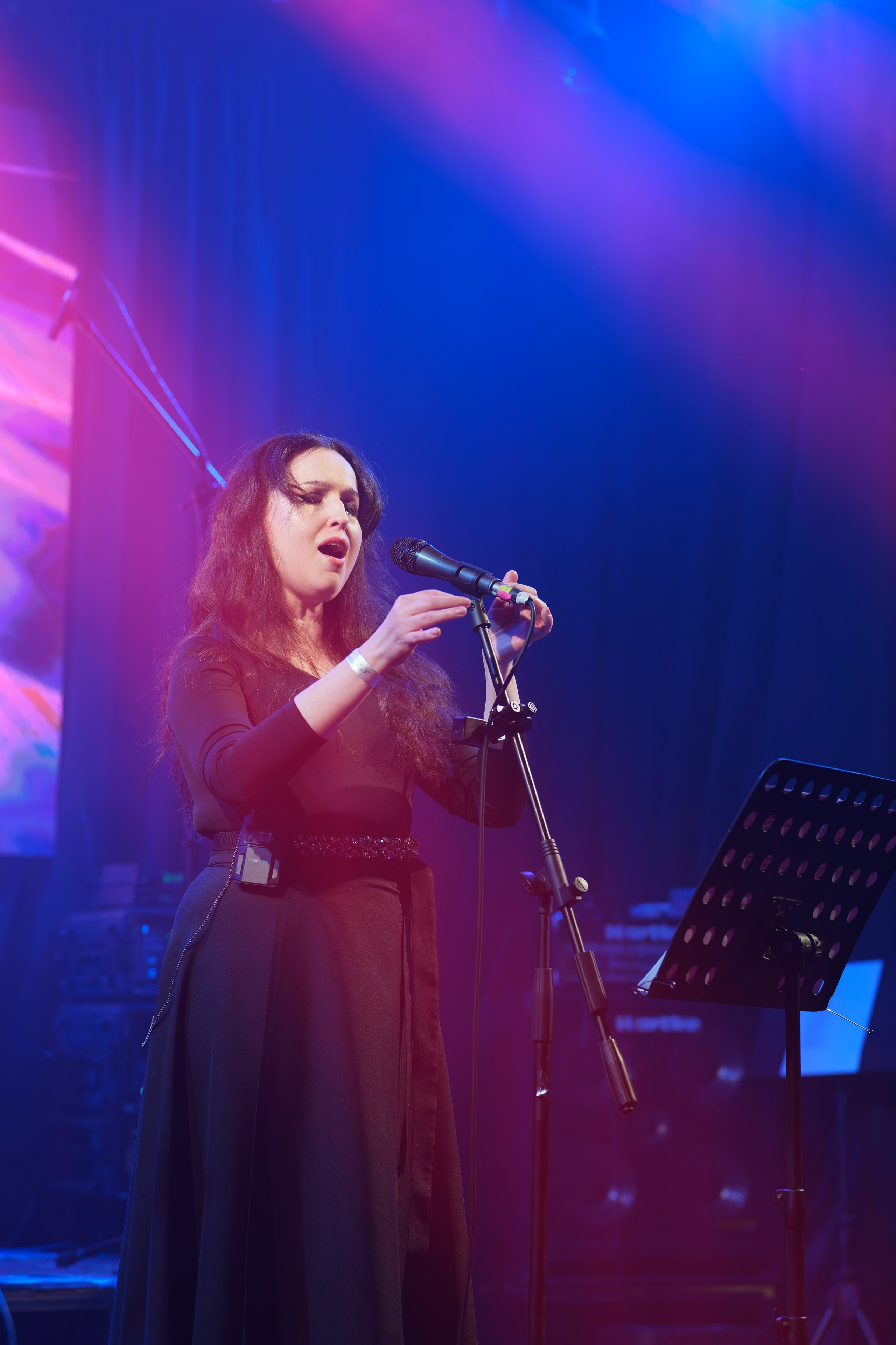Группа Nimea (Nightwish кавер). Андрей Васильев. Фотограф, Санкт-Петербург, Российская Федерация