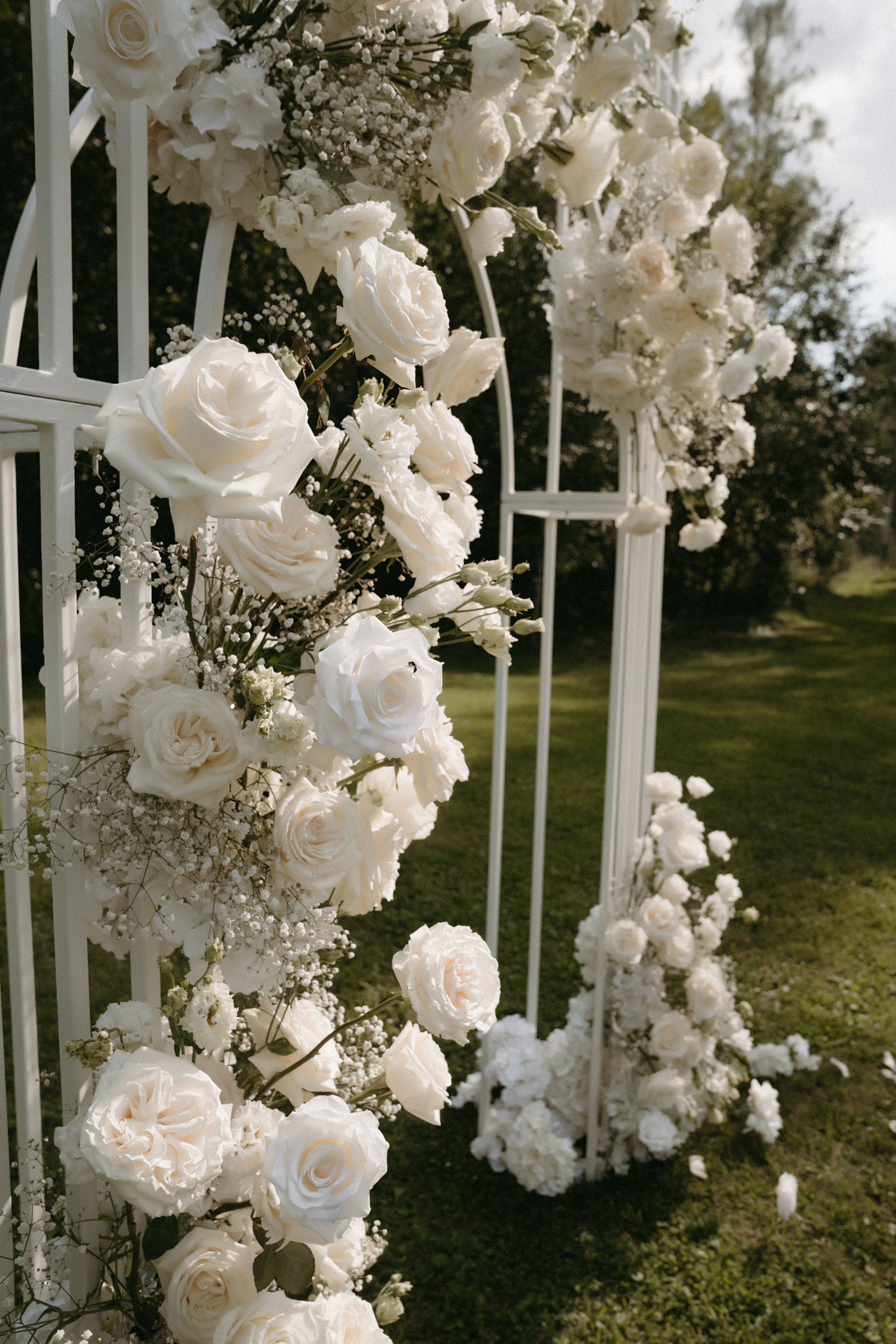 4/08/23. Фотограф Наталья Шелест