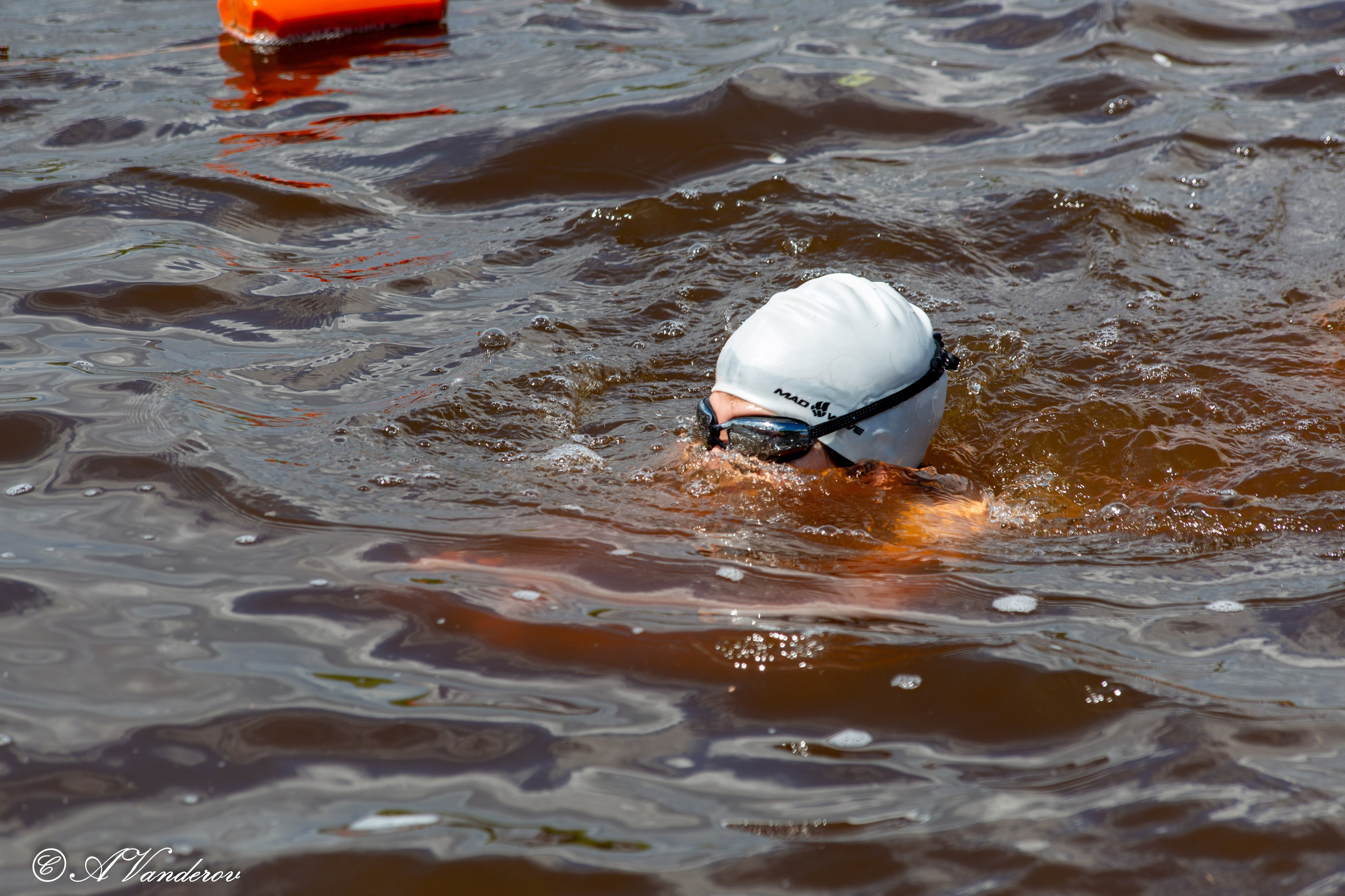 Заплыв 02.06.2024. Фотограф Омск | Александр Вандеров