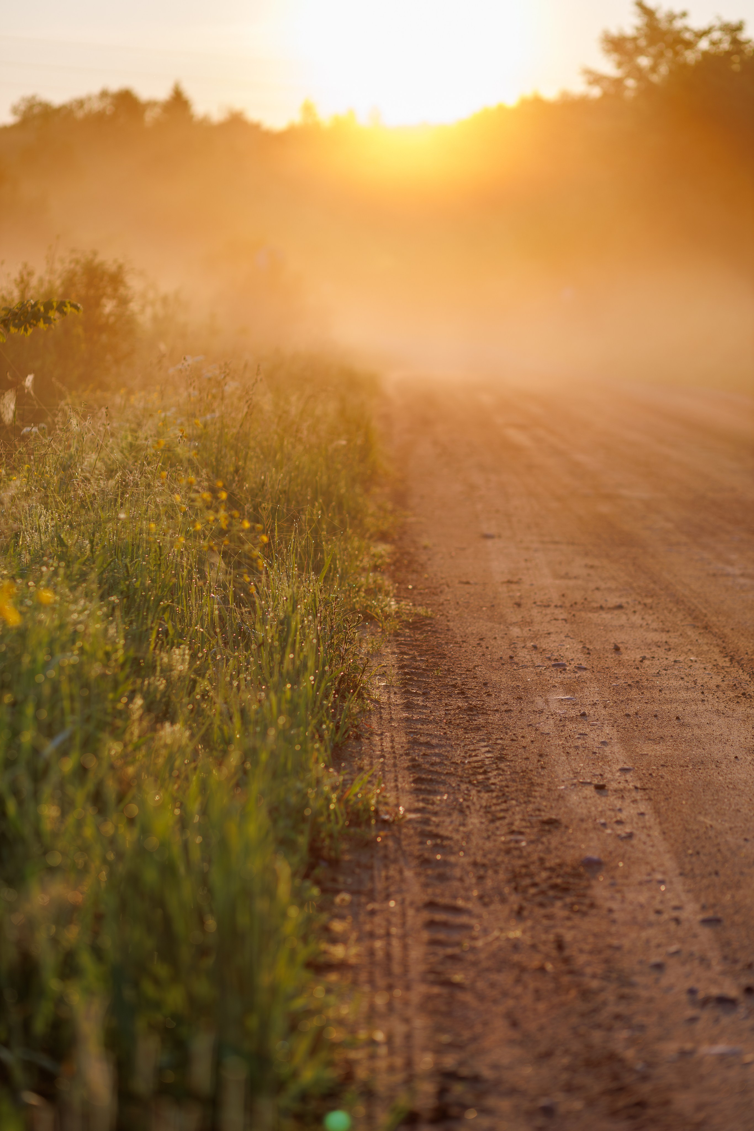 Фотосессии на рассвете для Татьяны. Семейный и свадебный фотограф в Москве и Домодедово Анна Авилочкина