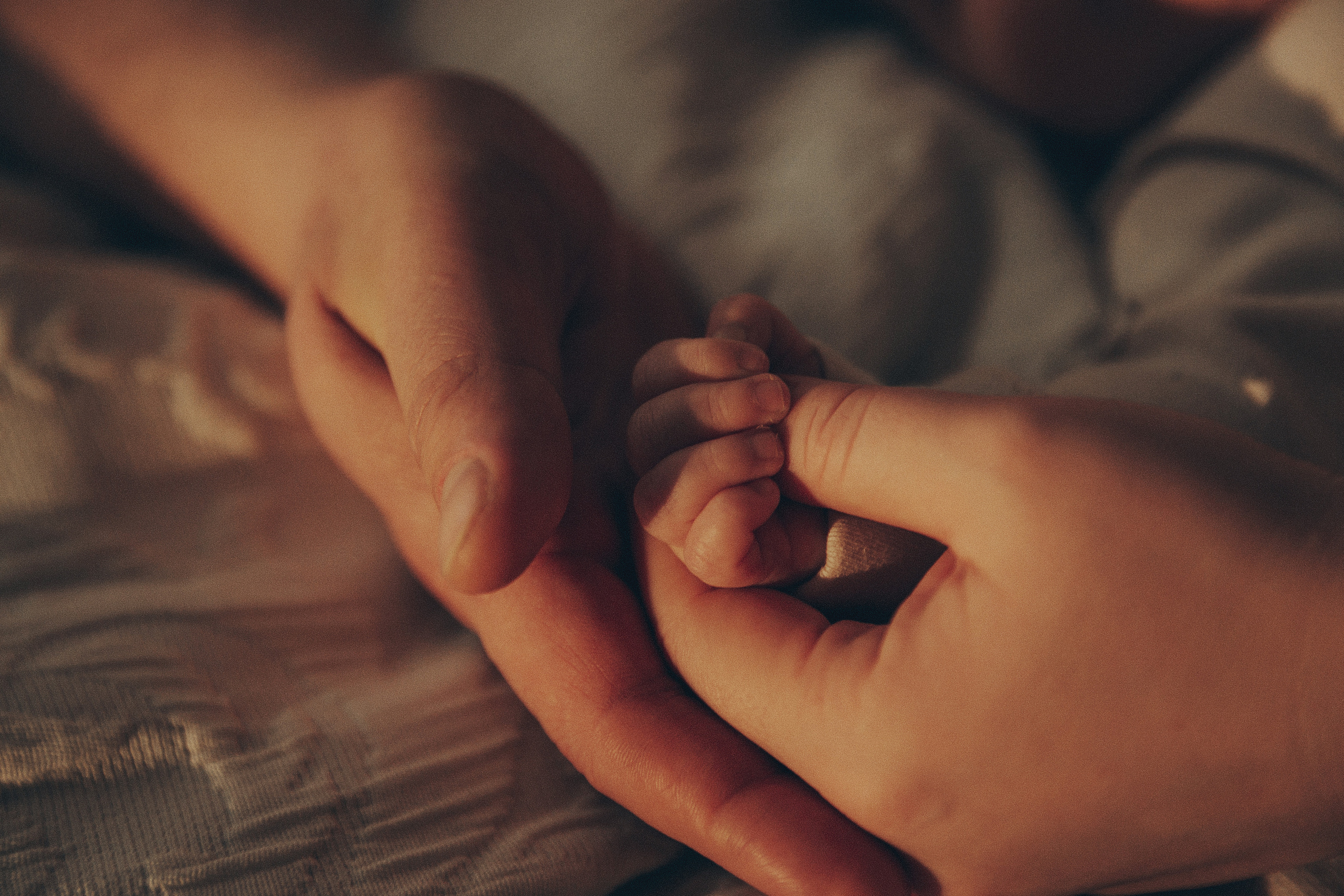 Домашняя фотосессия. Семейный фотограф, фотограф новорожденных в Москве, Анастасия Федяева