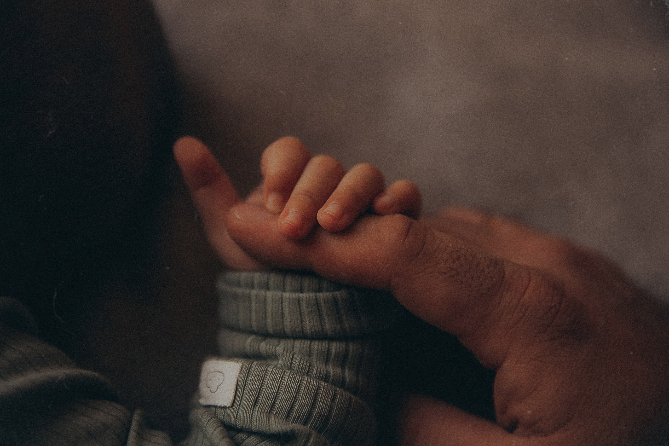 Екатерина, Андрей и Даниил домашняя фотосессия. Семейный фотограф, фотограф новорожденных в Москве, Анастасия Федяева