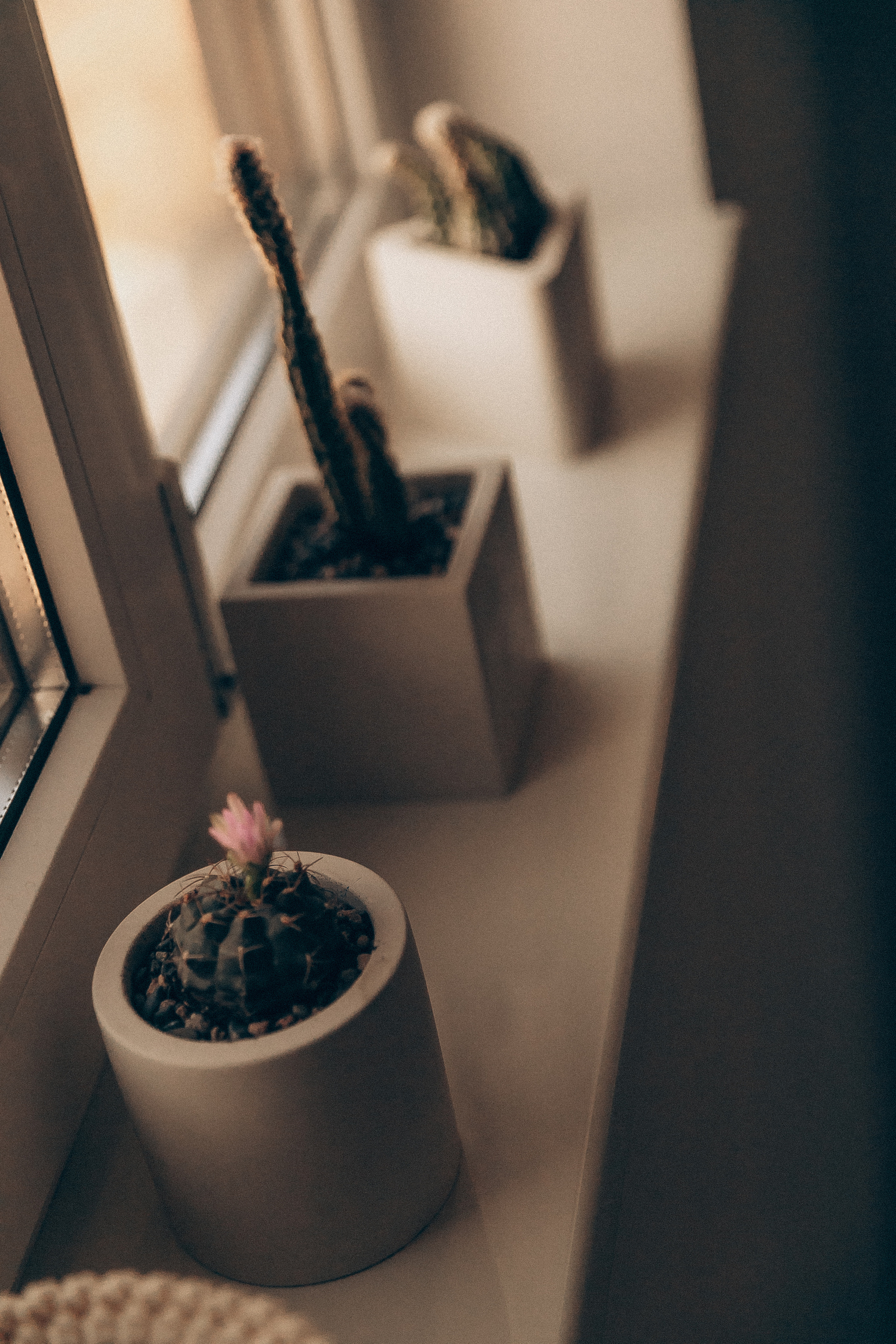 Домашняя фотосессия. Семейный фотограф, фотограф новорожденных в Москве, Анастасия Федяева