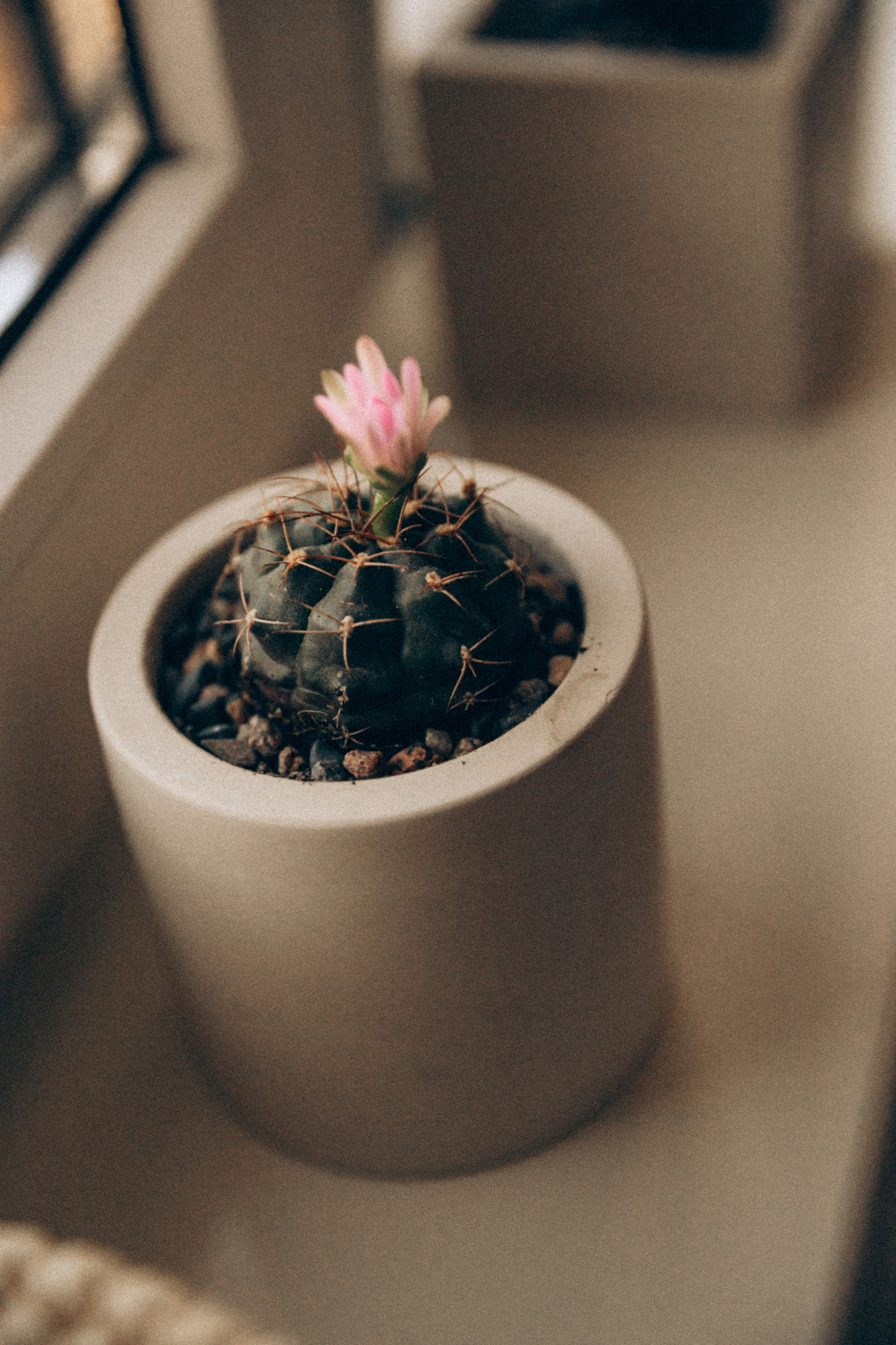 Домашняя фотосессия. Семейный фотограф, фотограф новорожденных в Москве, Анастасия Федяева