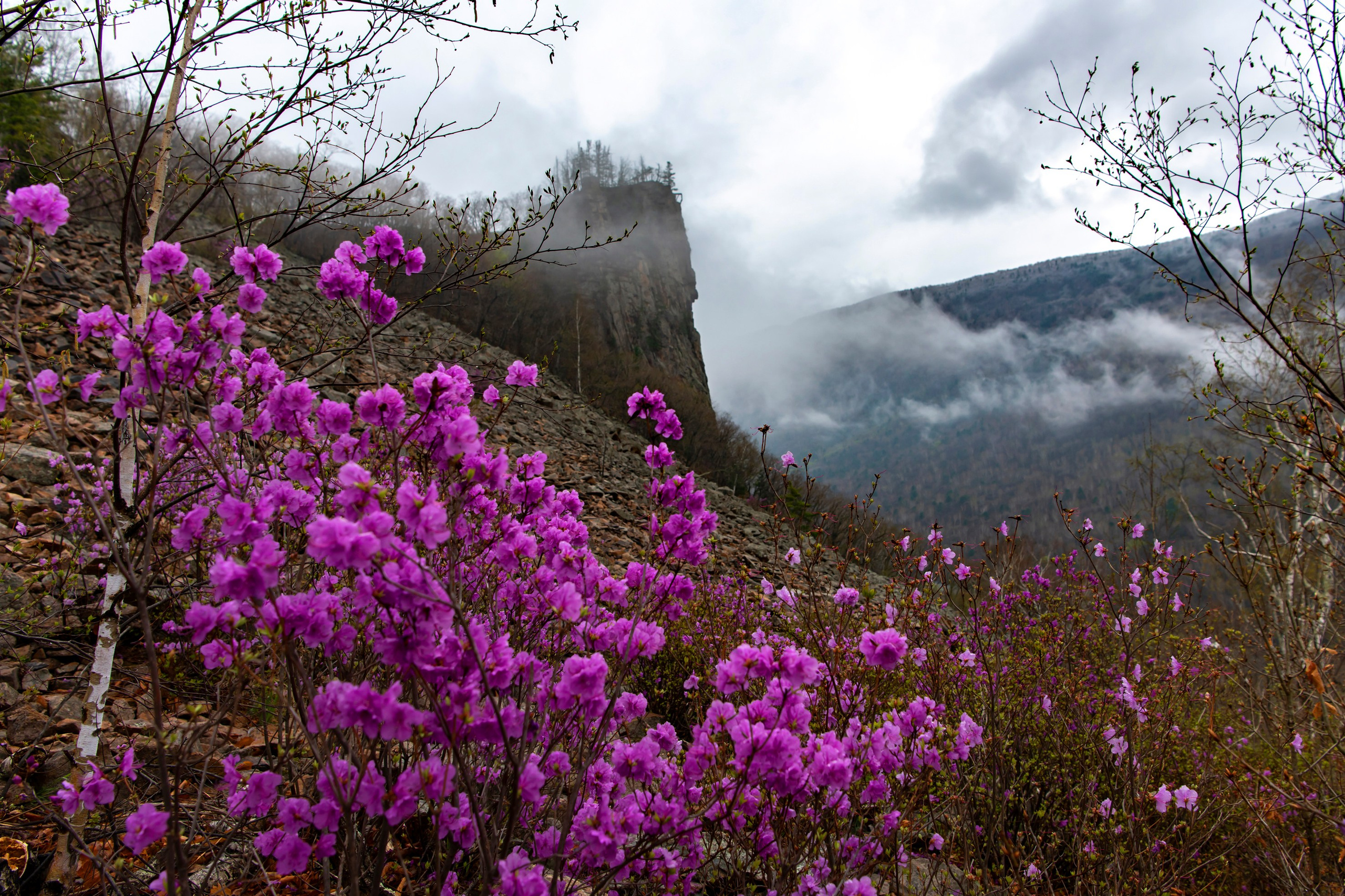 Природа Хабаровского края. Команда фотографов Кристины Ивановой