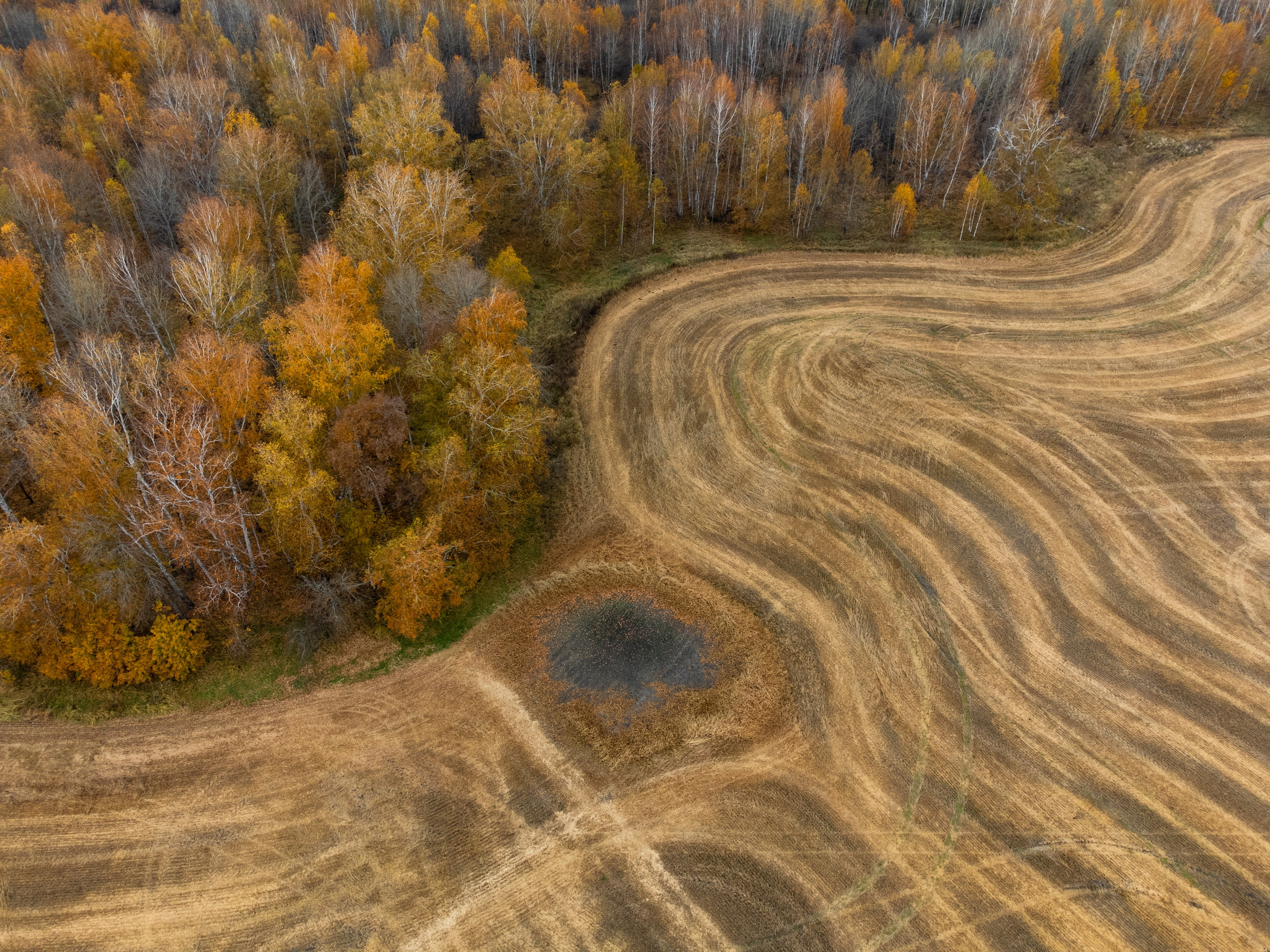 Курганская область. Daria wanderer photography