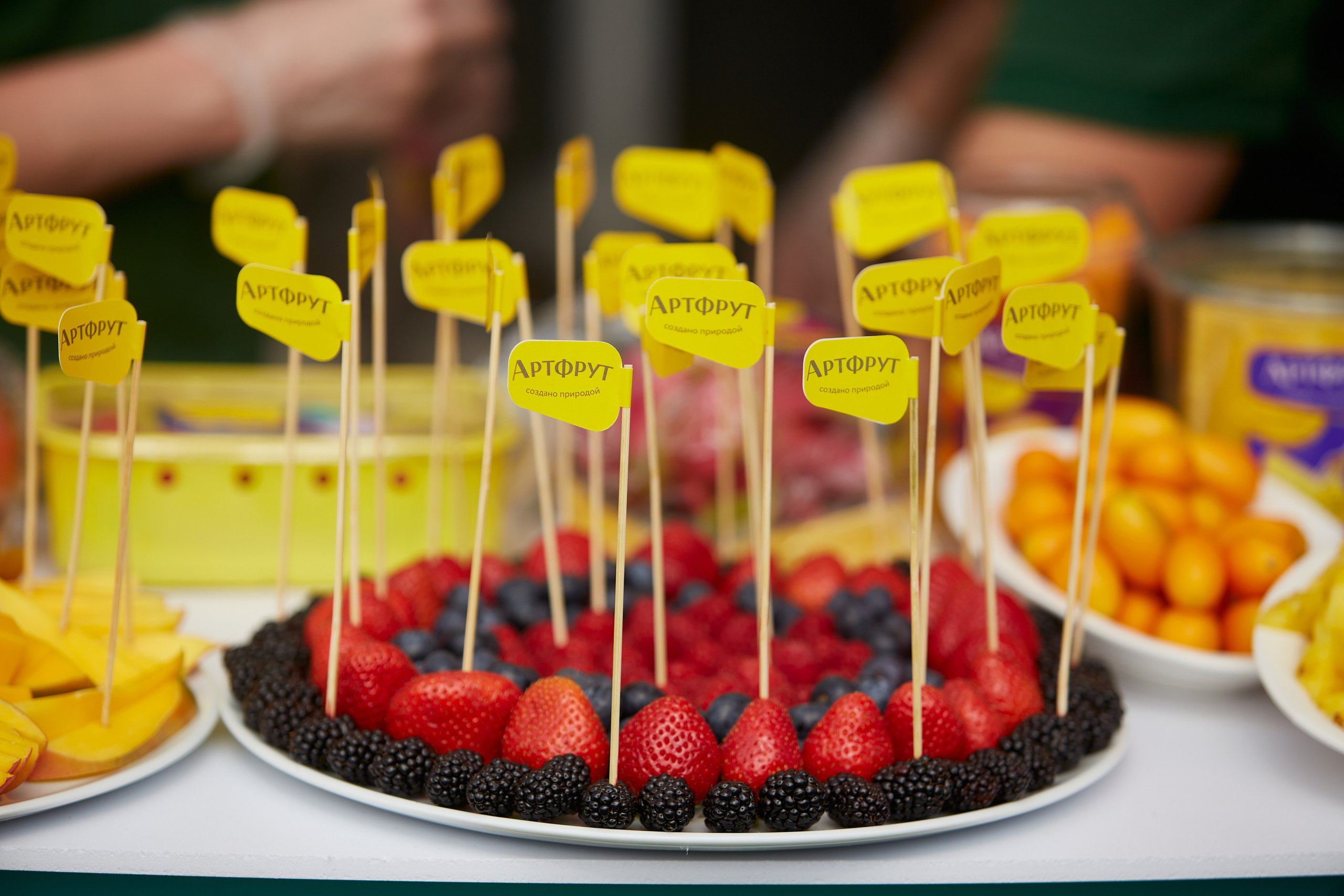 Летняя встреча компании. Свадебный фотограф Москва и Московская область Борисов Сергей