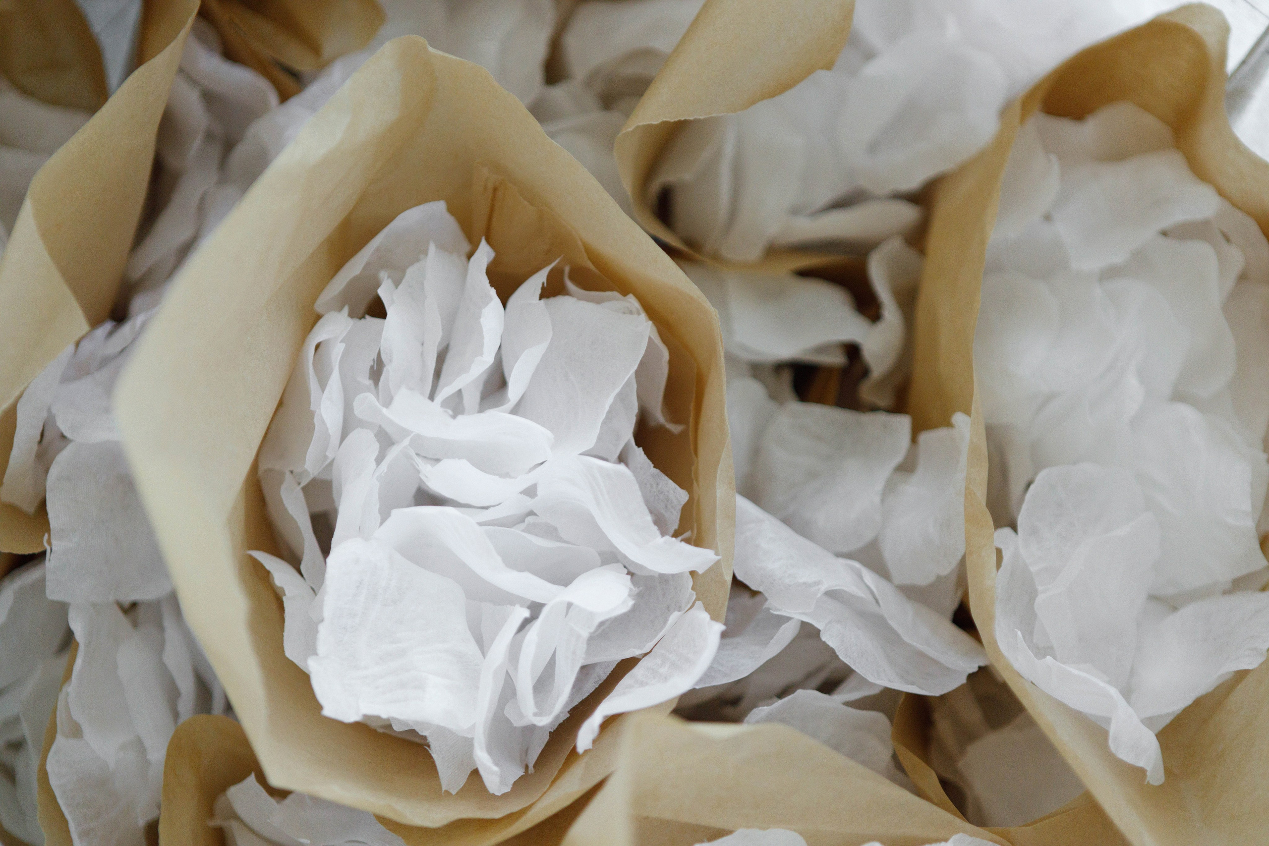 Свадебный фотограф в Ростове-на-Дону — Свадьба Романа и Ксении. Свадебный фотограф Ростов на Дону / Таганрог — Усачева Анастасия