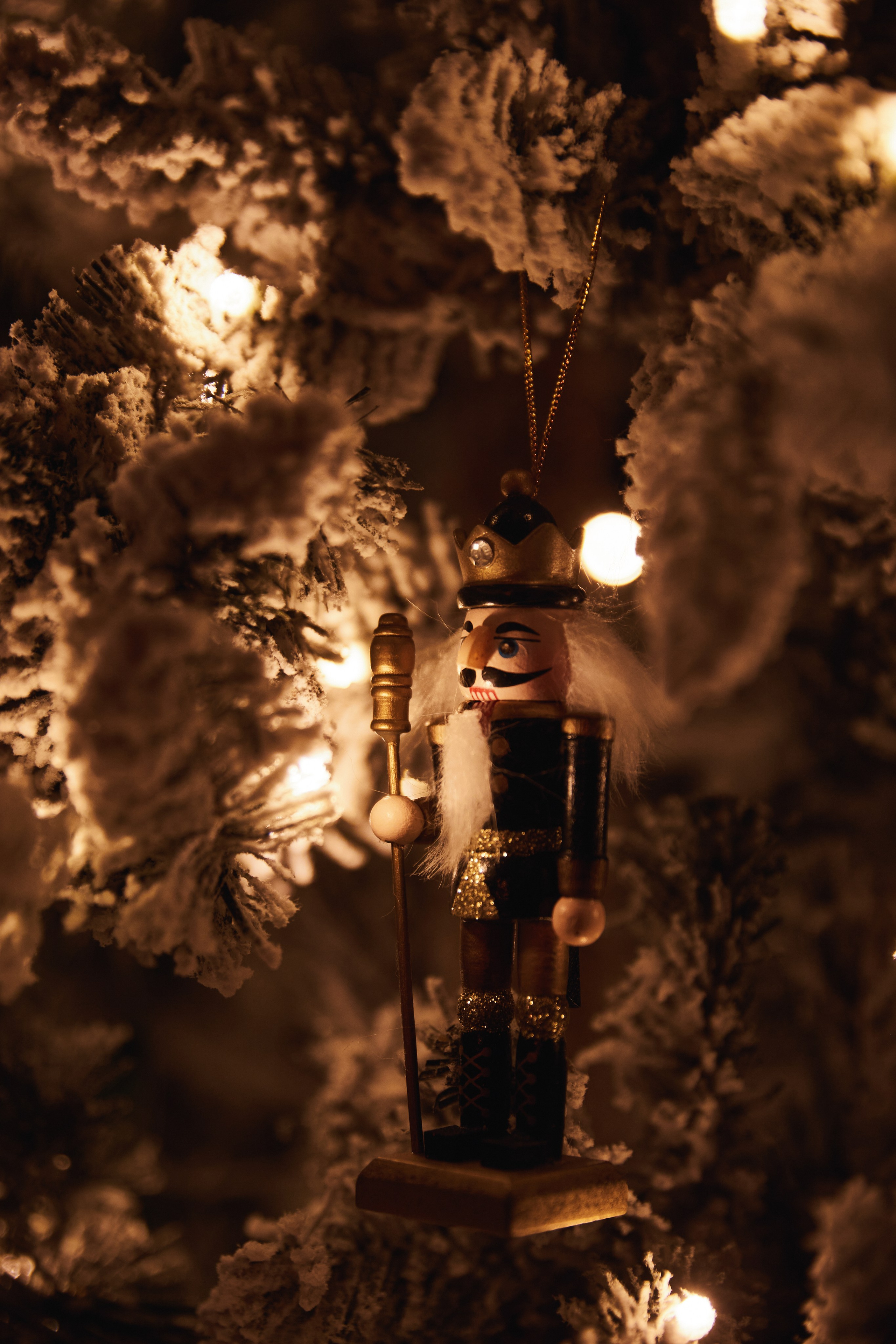 Новогодний корпоратив. Фотограф и видеограф в Кургане Леонид Корнильев