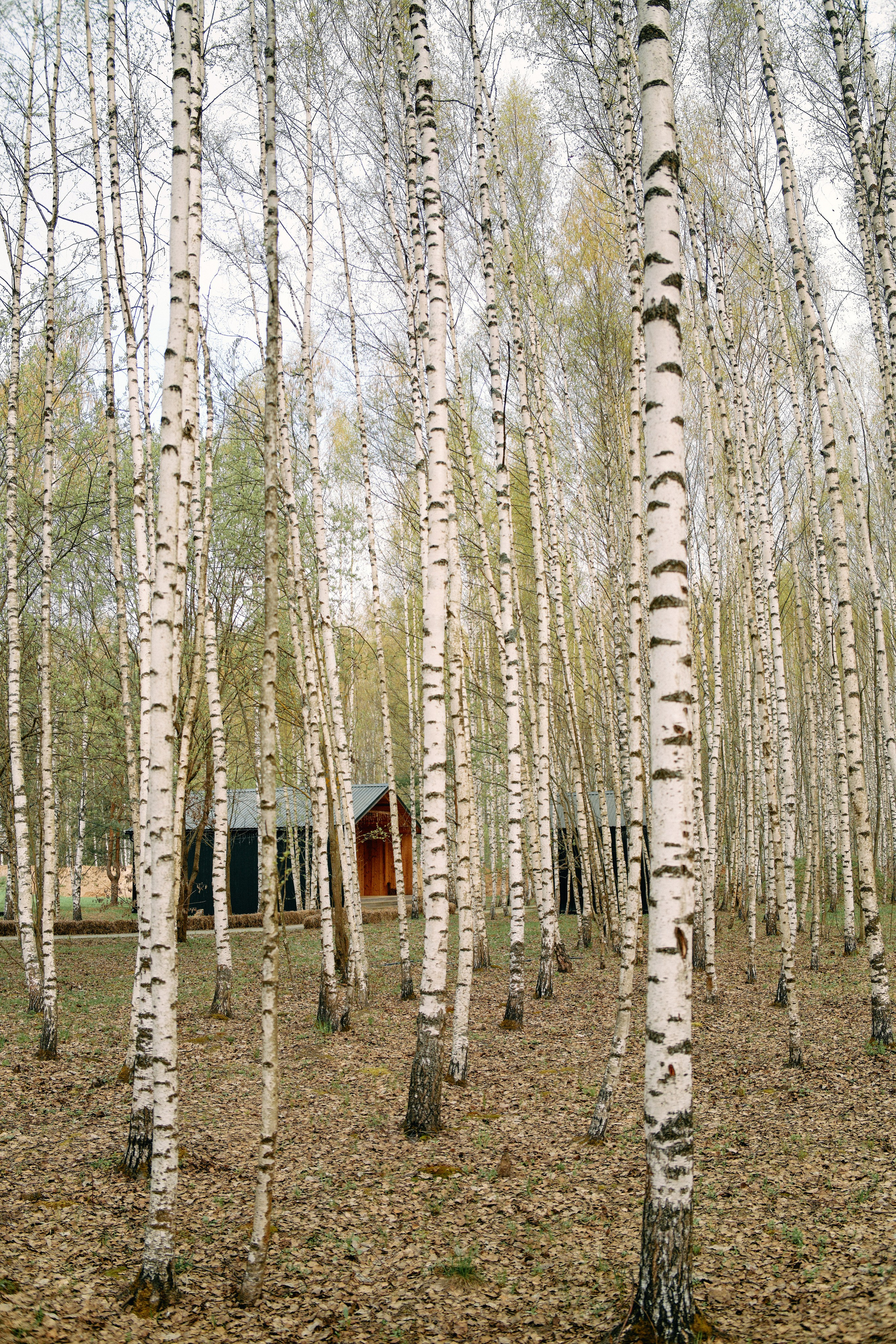Бутик-отель Поле летом. Профессиональный Фотограф во Владимире, в Москве и в Суздале — Полина Романычева