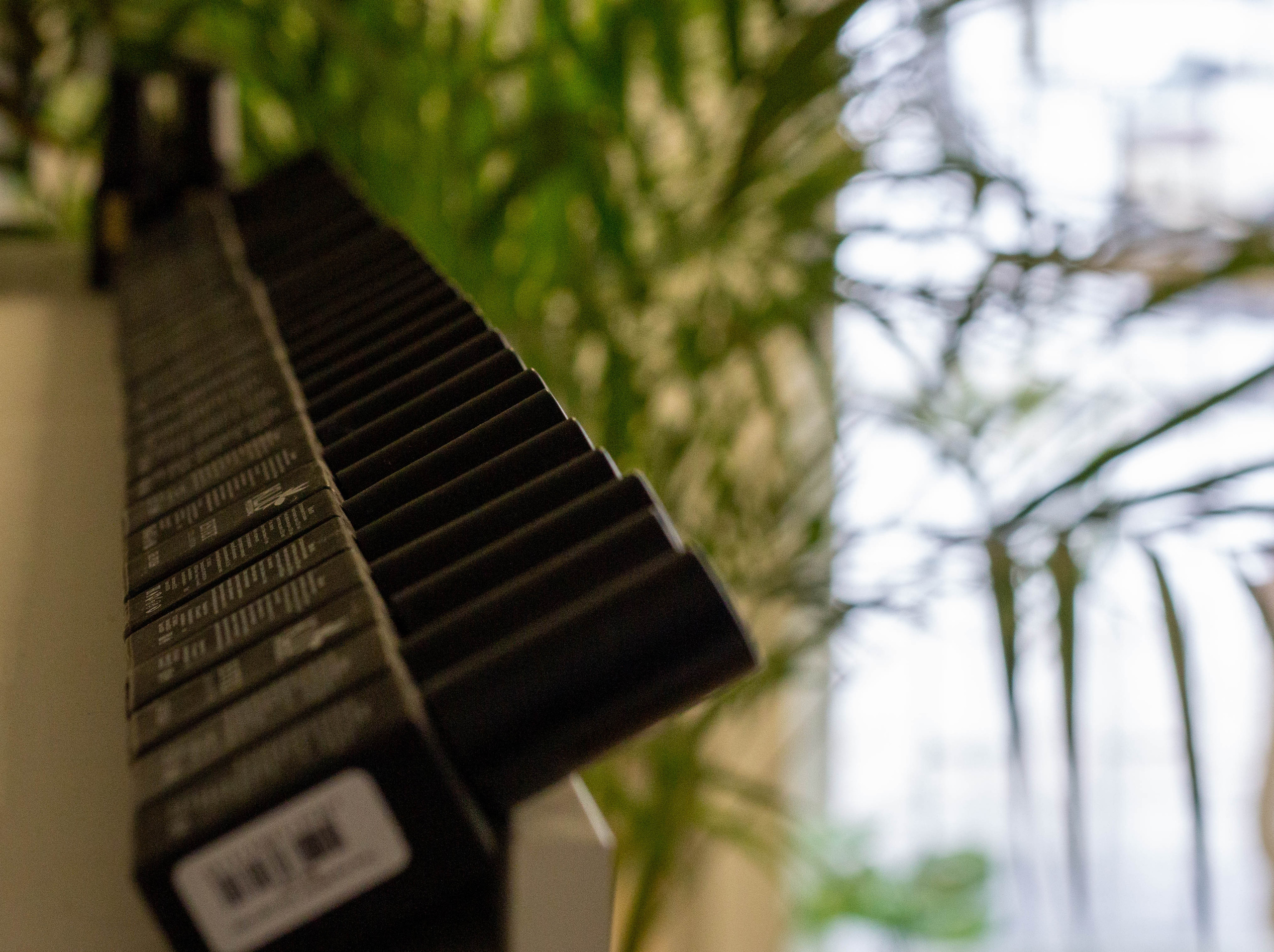 Студия маникюра. Ольга Степанова фотограф визажист в Санкт-Петербурге