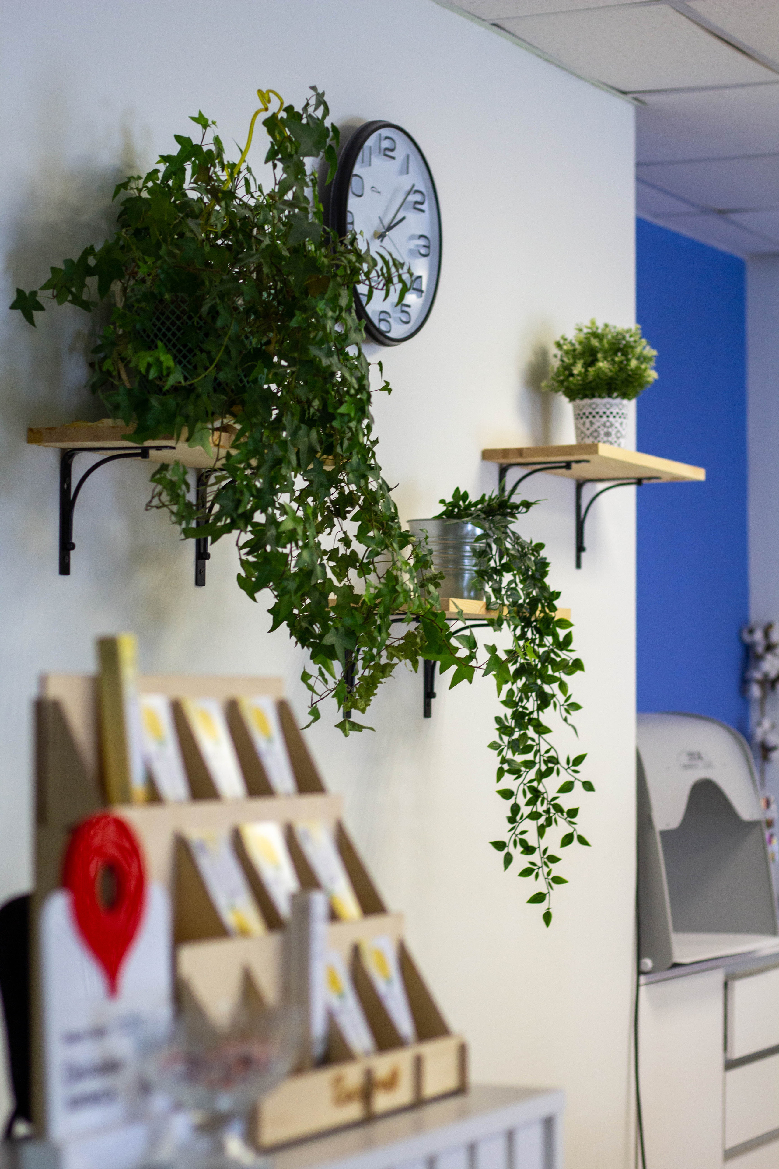 Студия маникюра. Ольга Степанова фотограф визажист в Санкт-Петербурге