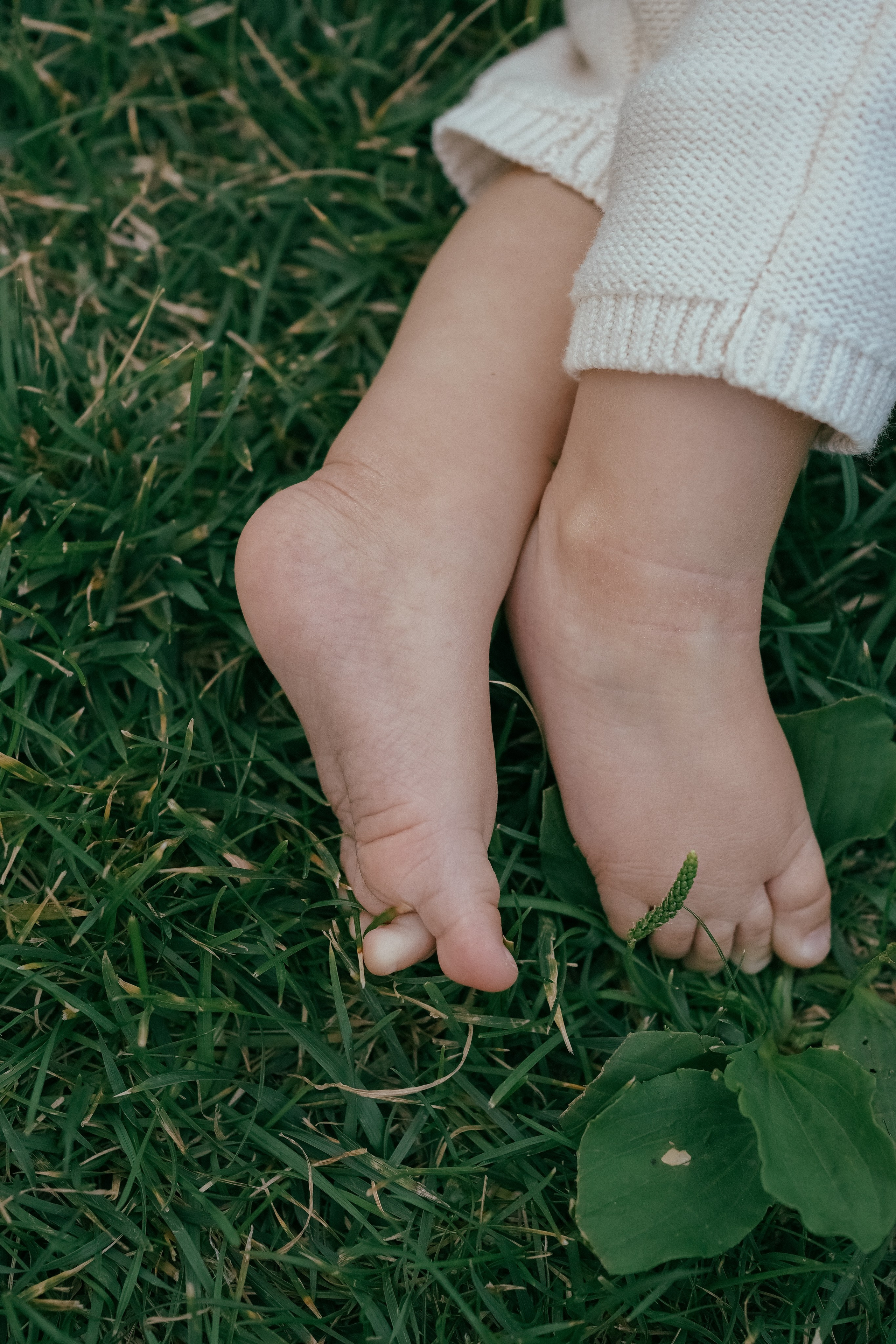 Классика. Свадебный и семейный фотограф Афанасьева Анна в Кисловодске