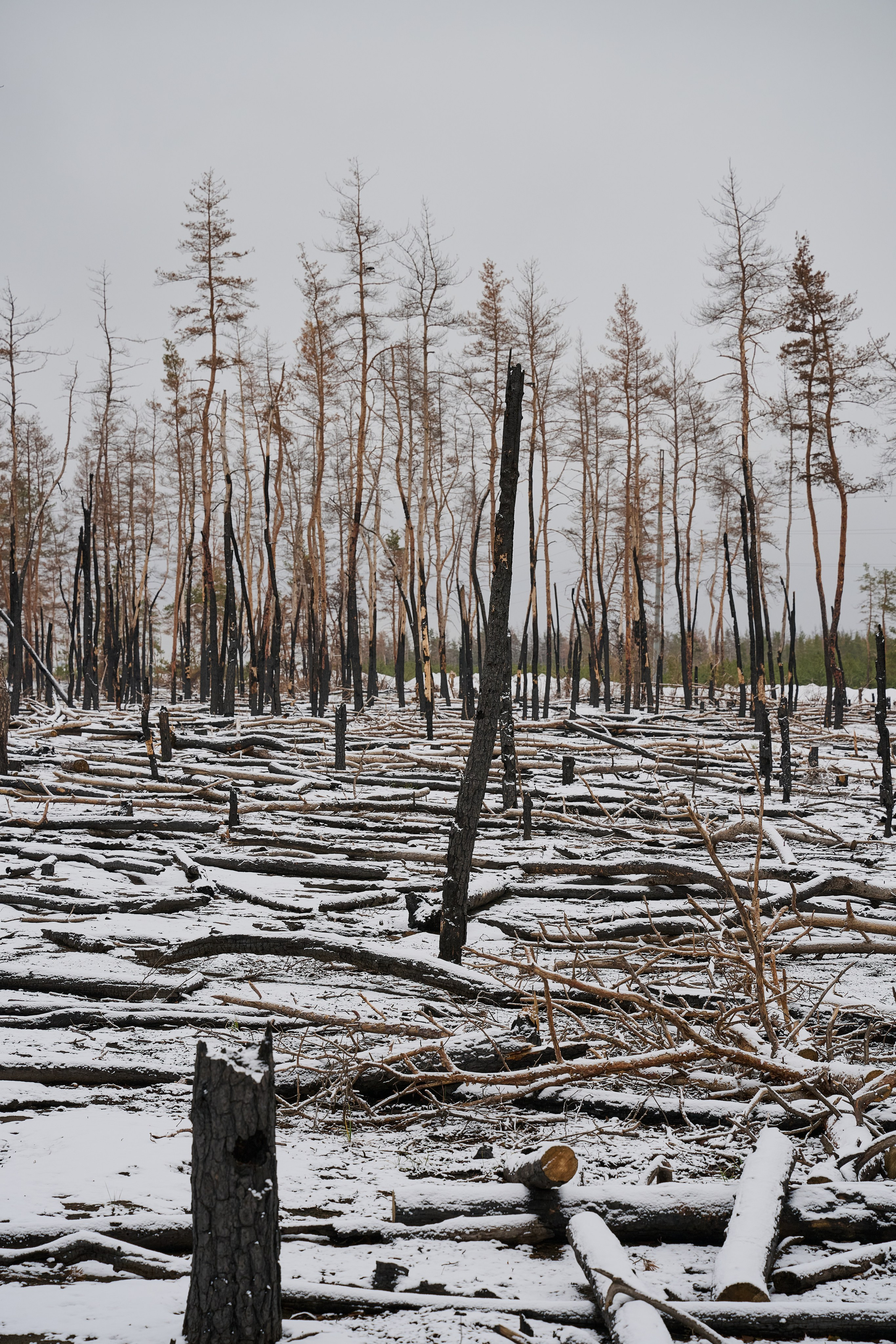 Северодонецк (Луганская область). Декабрь 2024. Фотограф Роман Адлер