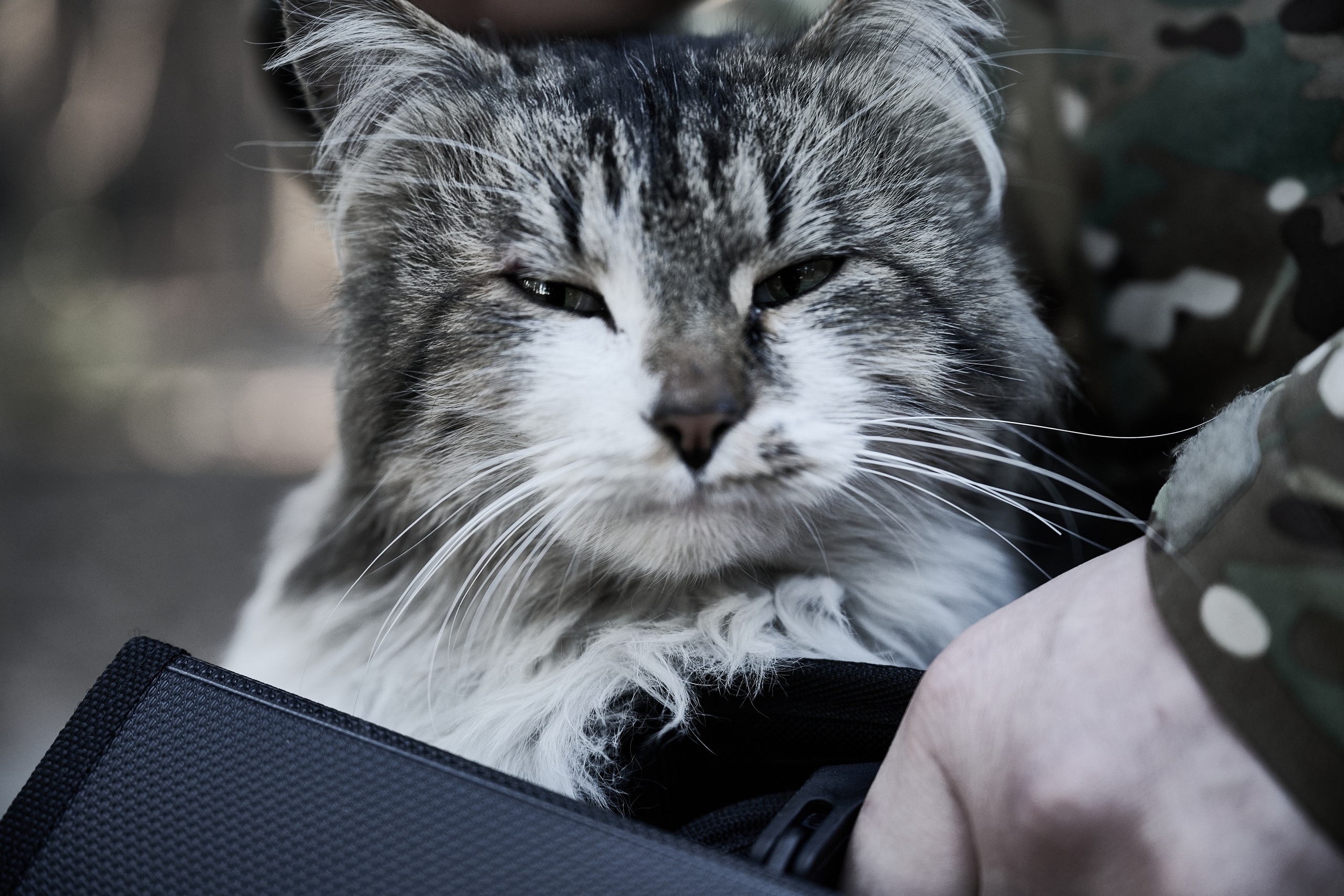 Дороги Территорий. Фотограф Роман Адлер