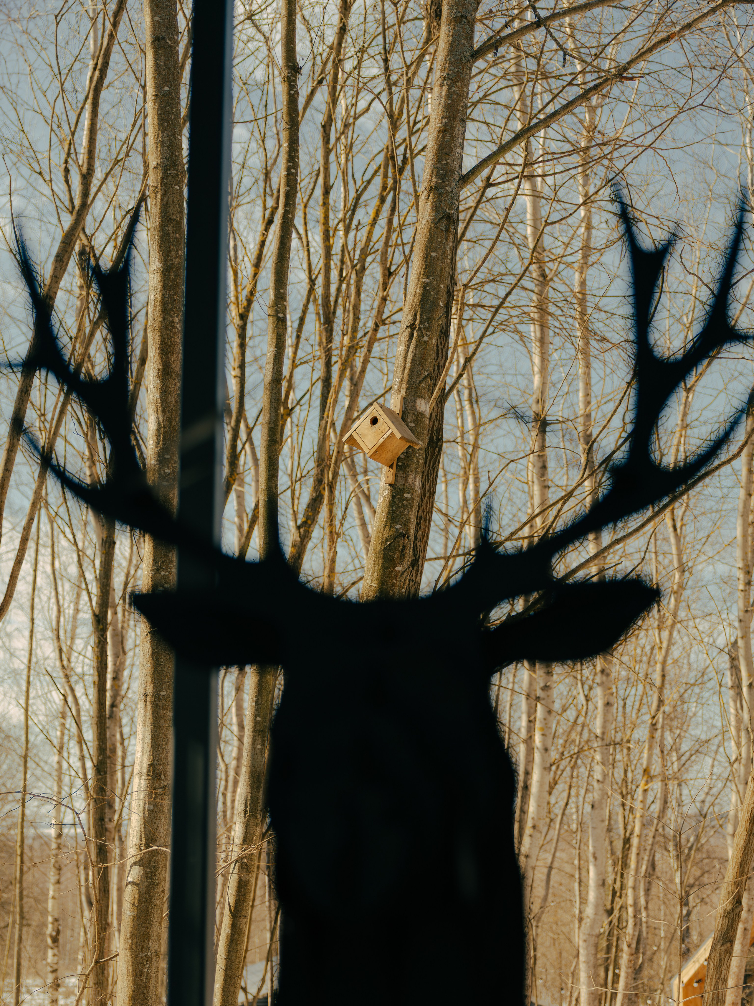 ZvenZen. Фотограф Павел Краснов