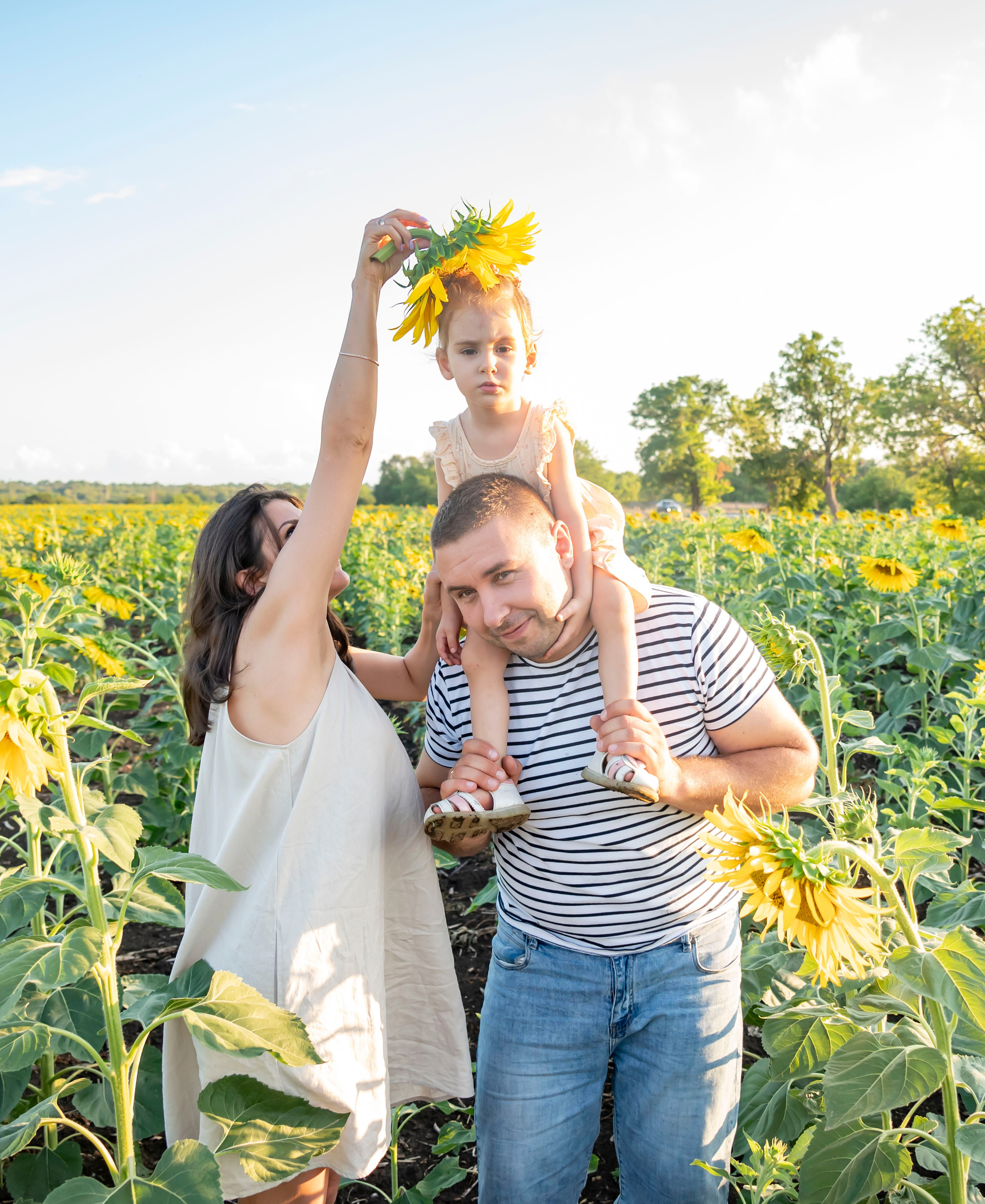 Летняя прогулка. Главная