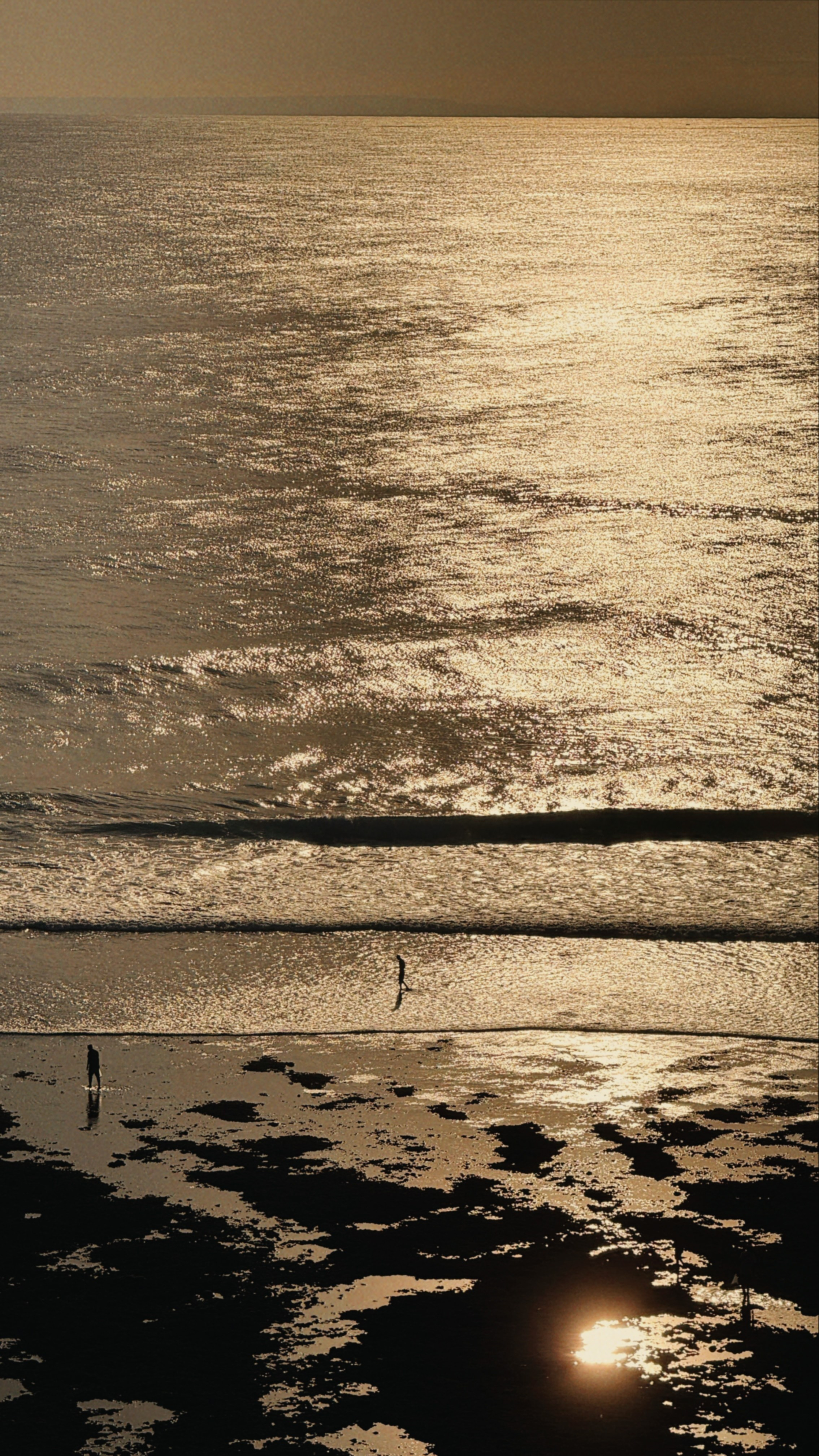 Виолетта Скрипка