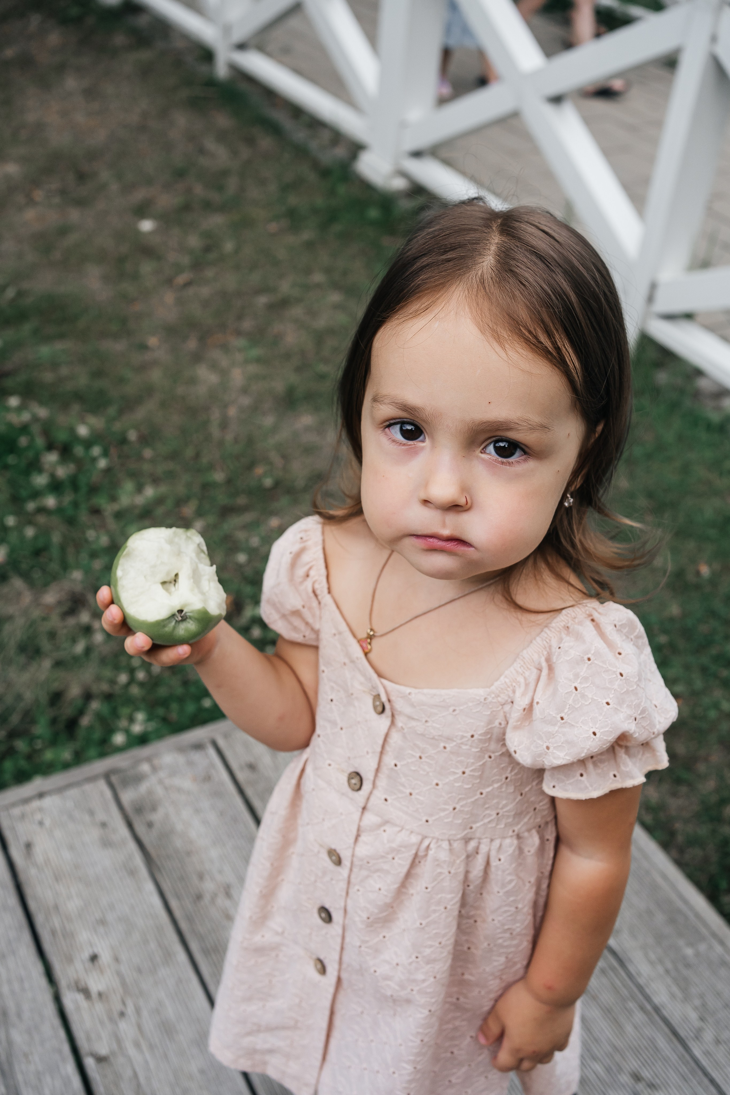 Абиша и Илья