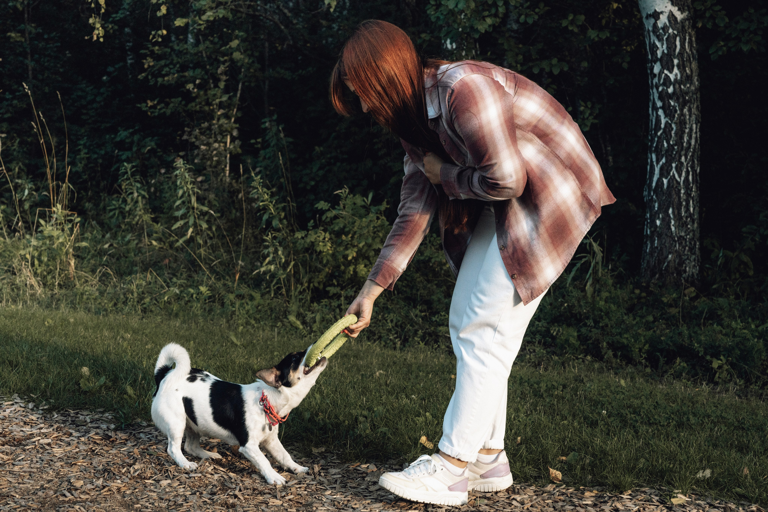 Аня и Луна. Фотограф и видеограф в Тюмени Екатерина Чернецкая