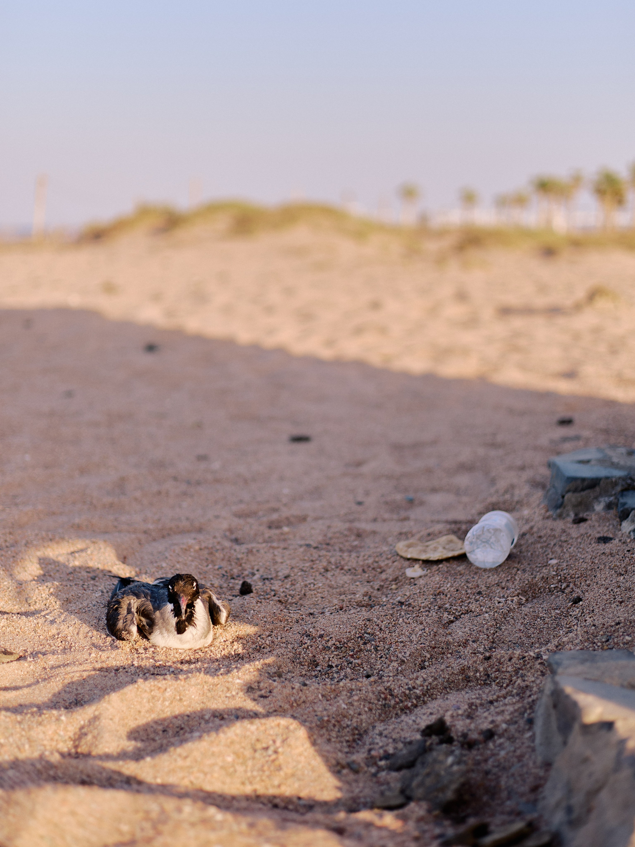 Другое 3. Jorgis Talè — photographer, kind person, teacher of arts and other mag