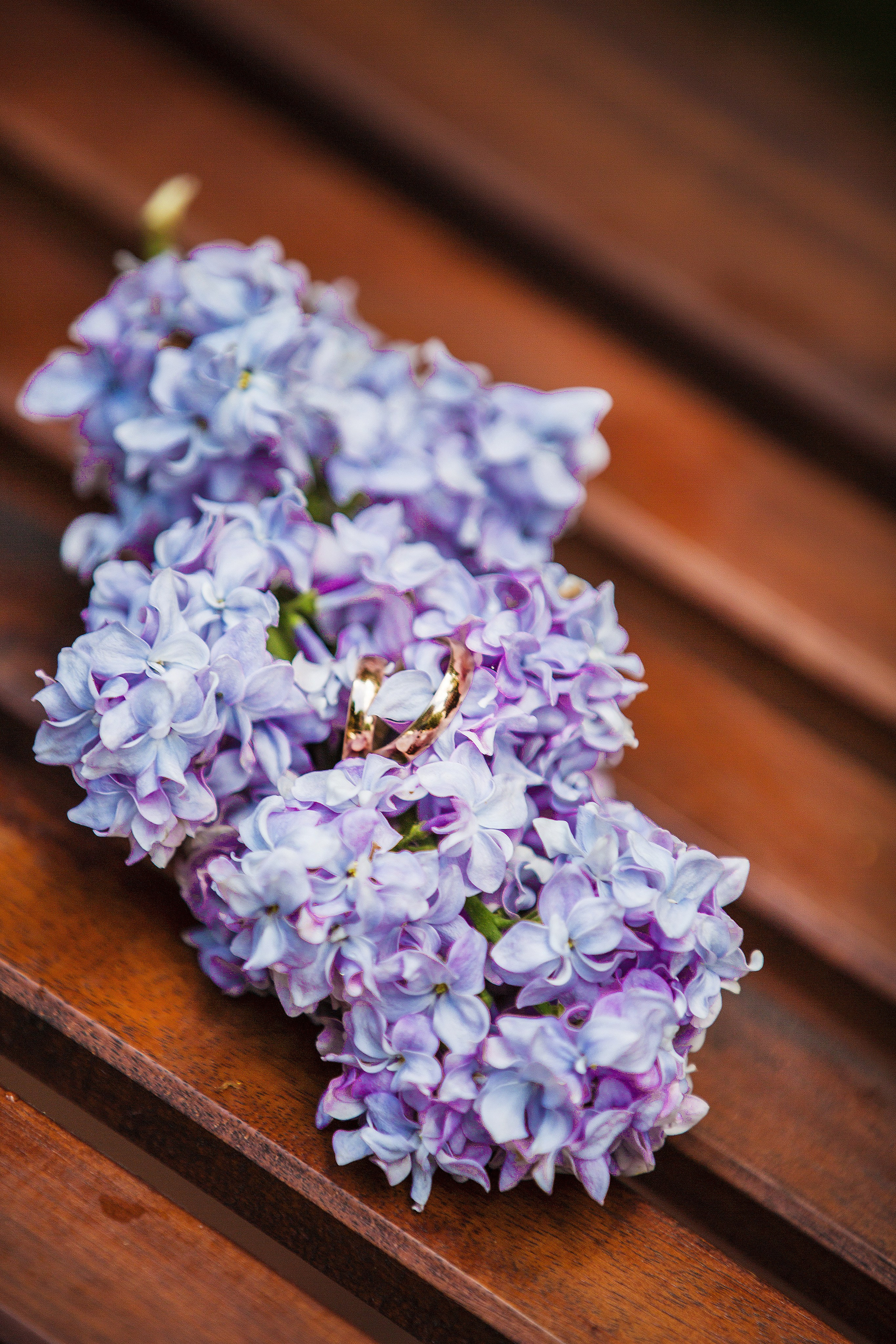 Ксения и Сергей. Свадебный семейный и детский фотограф в Краснодаре Карина Федоровская