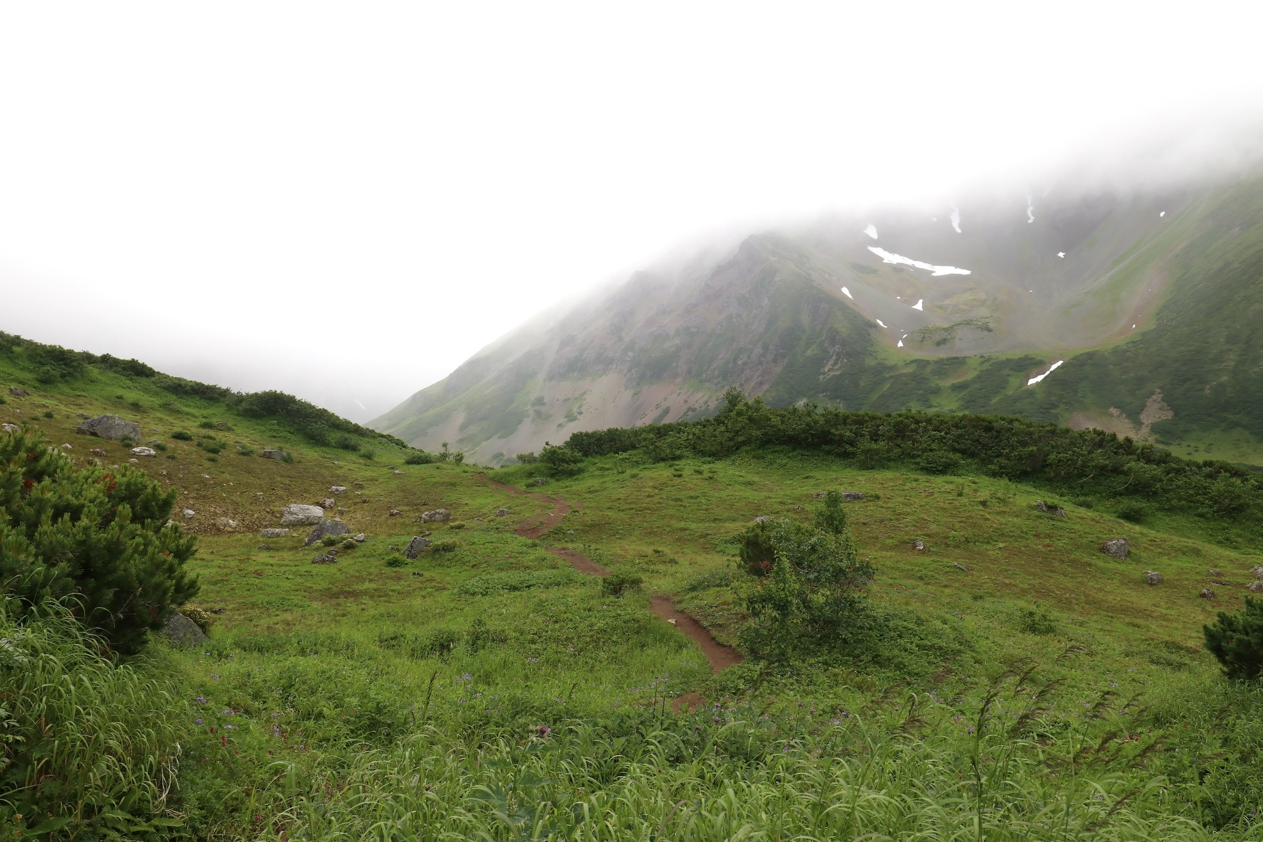 Камчатка и о. Парамушир. Июль 2024. Путешественник-фотограф из Санкт-Петербурга Татьяна Свистулина