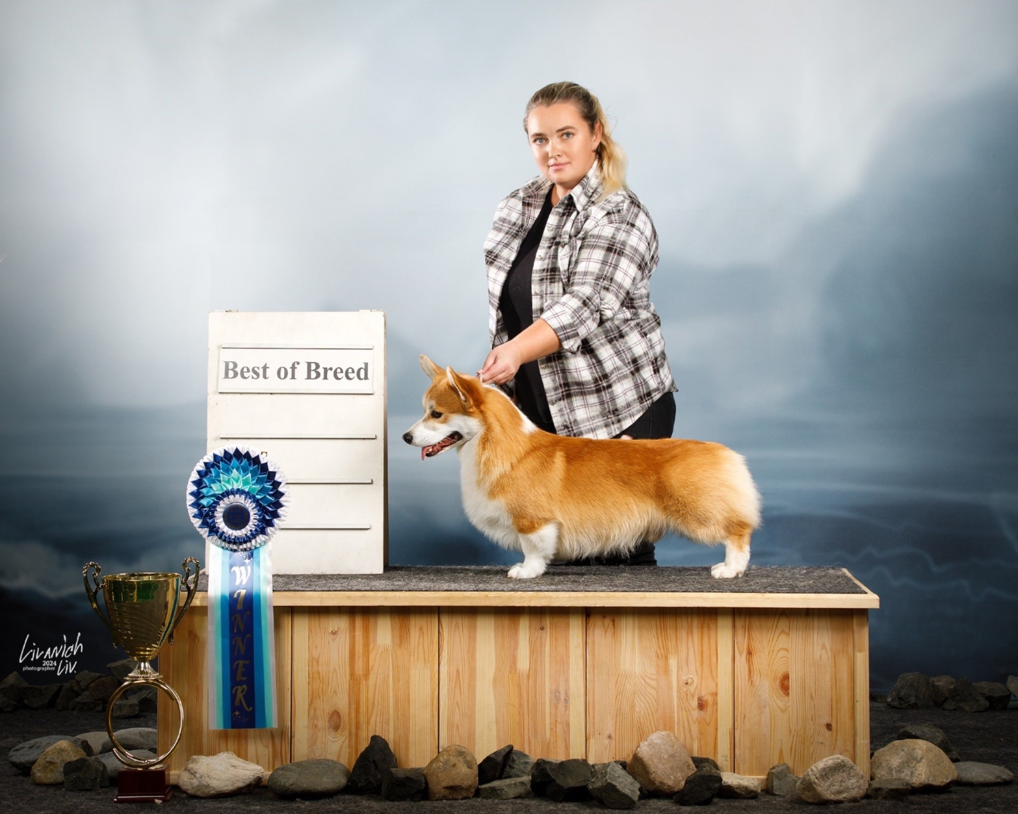 Щенки вельш корги пемброк из питомника. Питомник собак Акита, Хаски, Корги