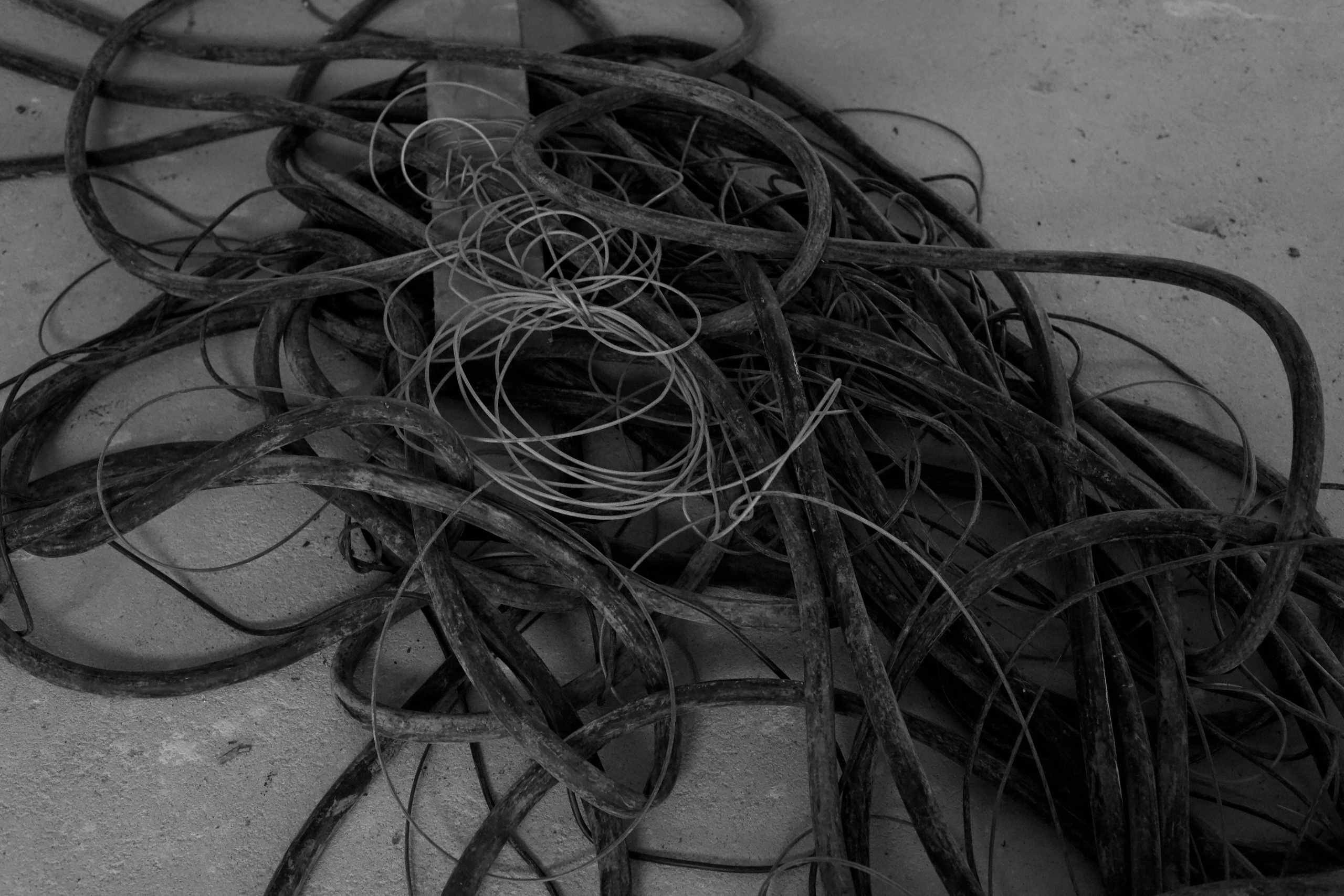 НОЕВ КОВЧЕГ. Художница Екатерина Малышева