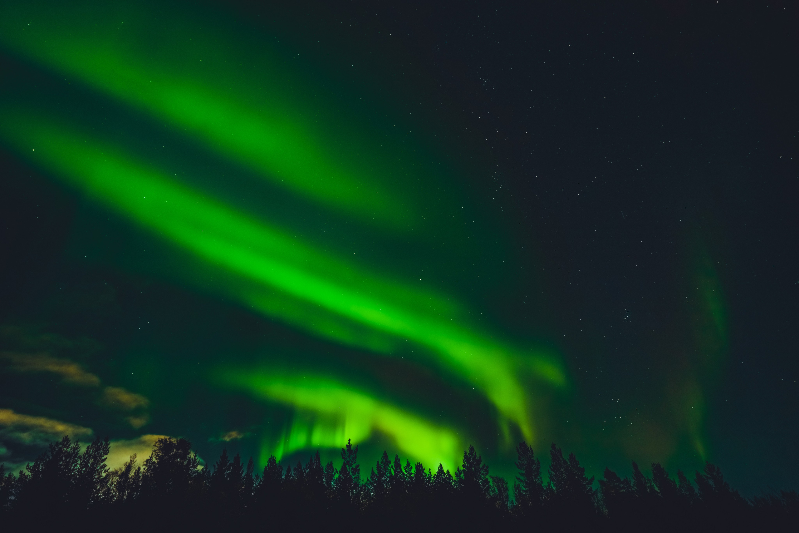 СЕВЕР. Event фотограф Степанова Александра
