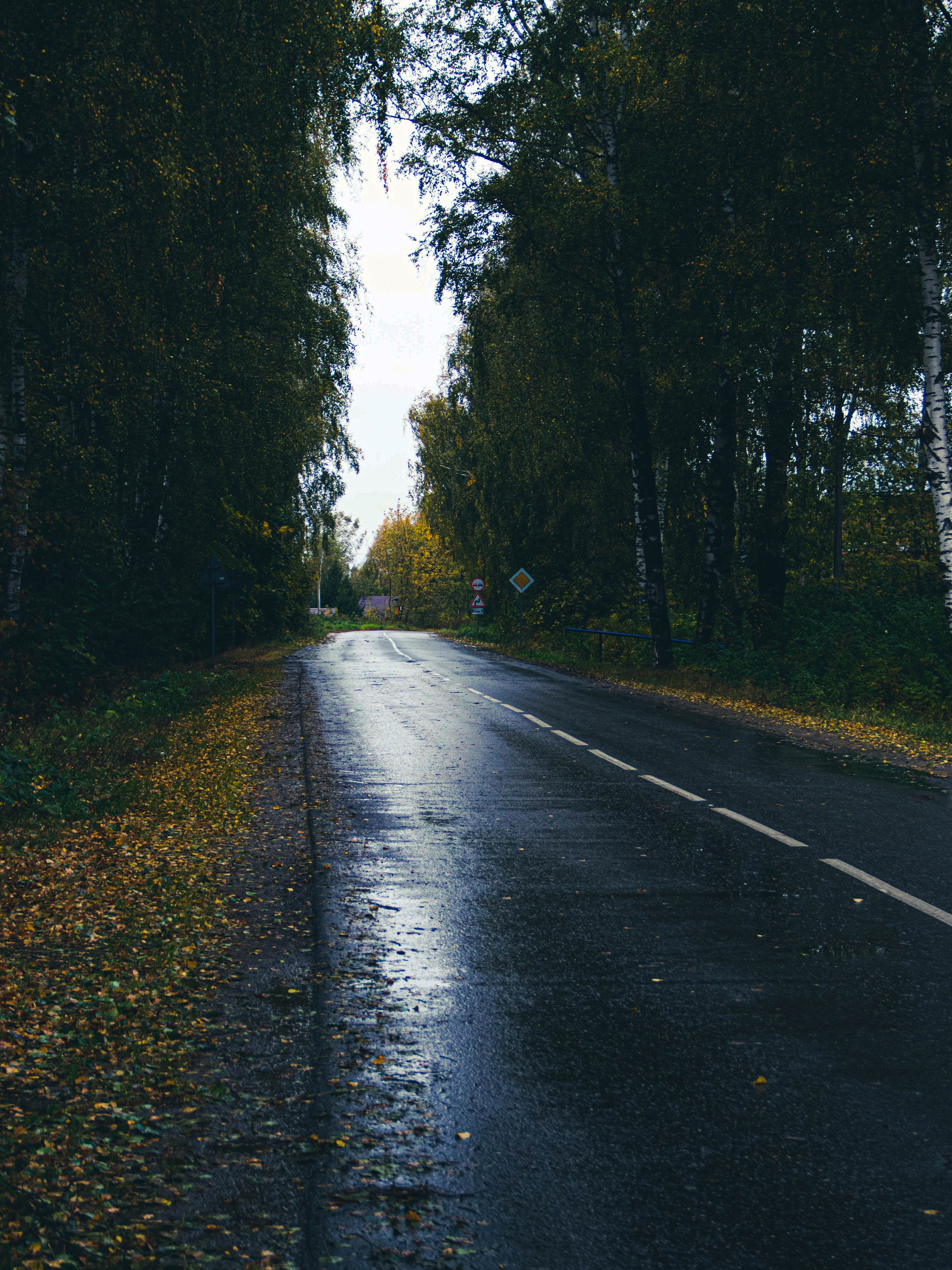 Село Петрилово (28.09.24). «Матрица»