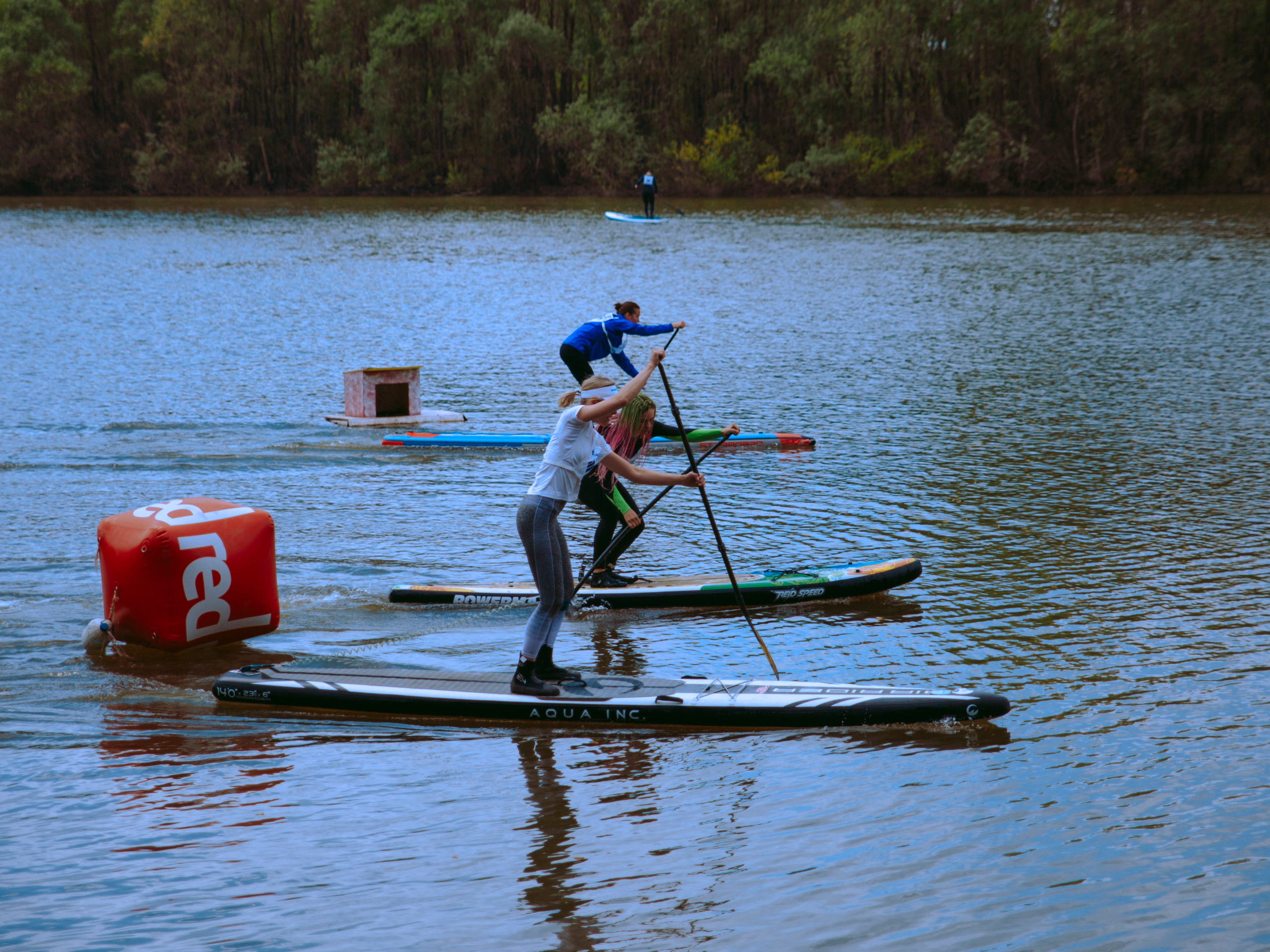 Соревнования и фестиваль по sup-серфингу в Новосибирске.