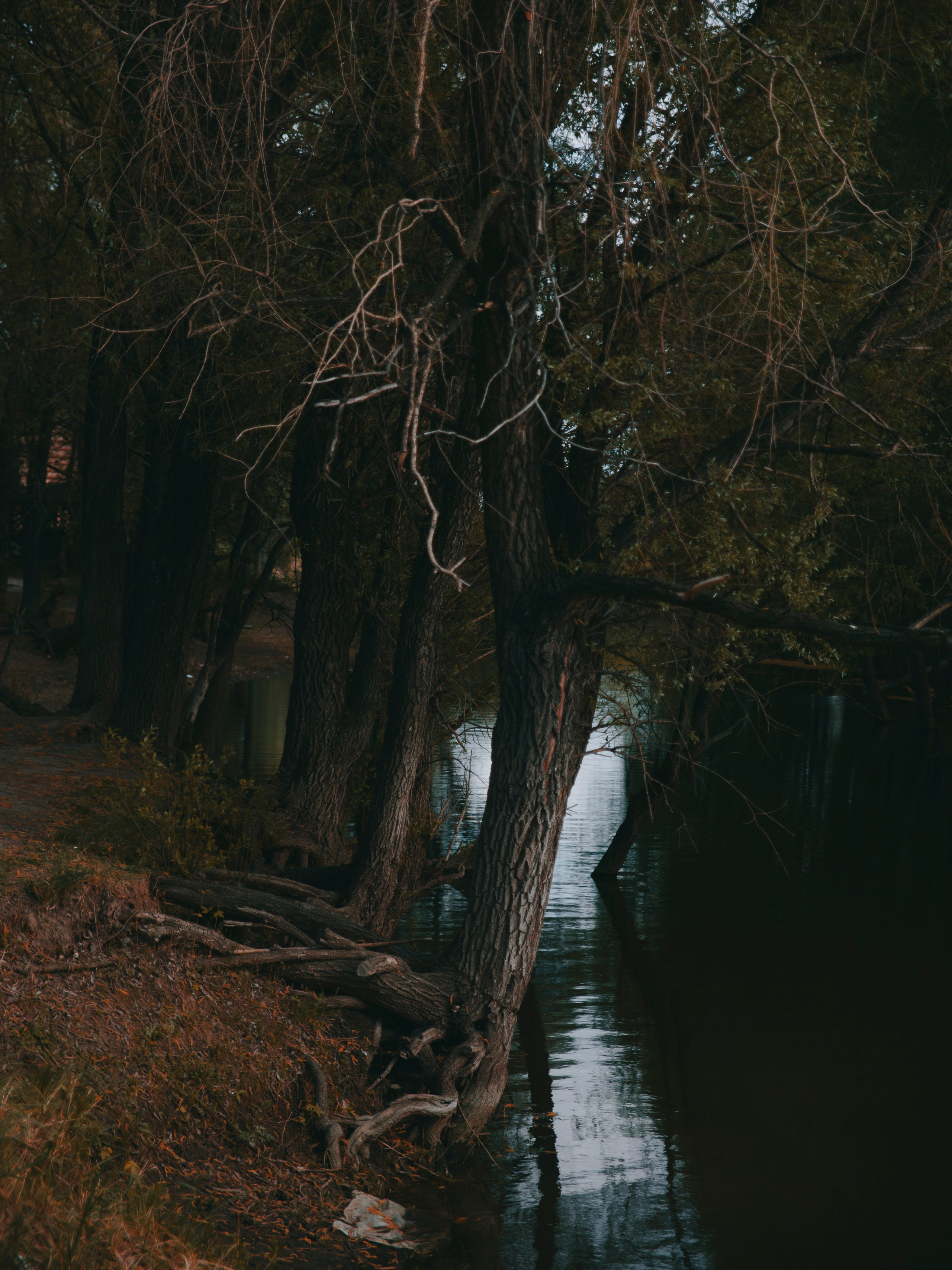 Залив в ЖК Европейский берег.