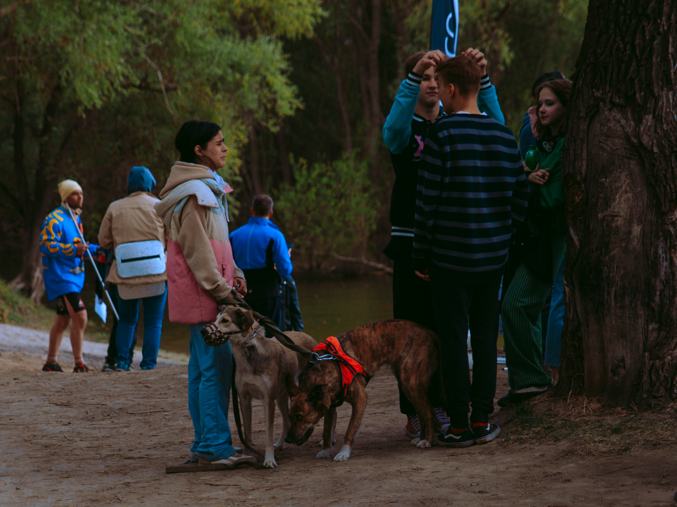 Девочка с собакой парке.