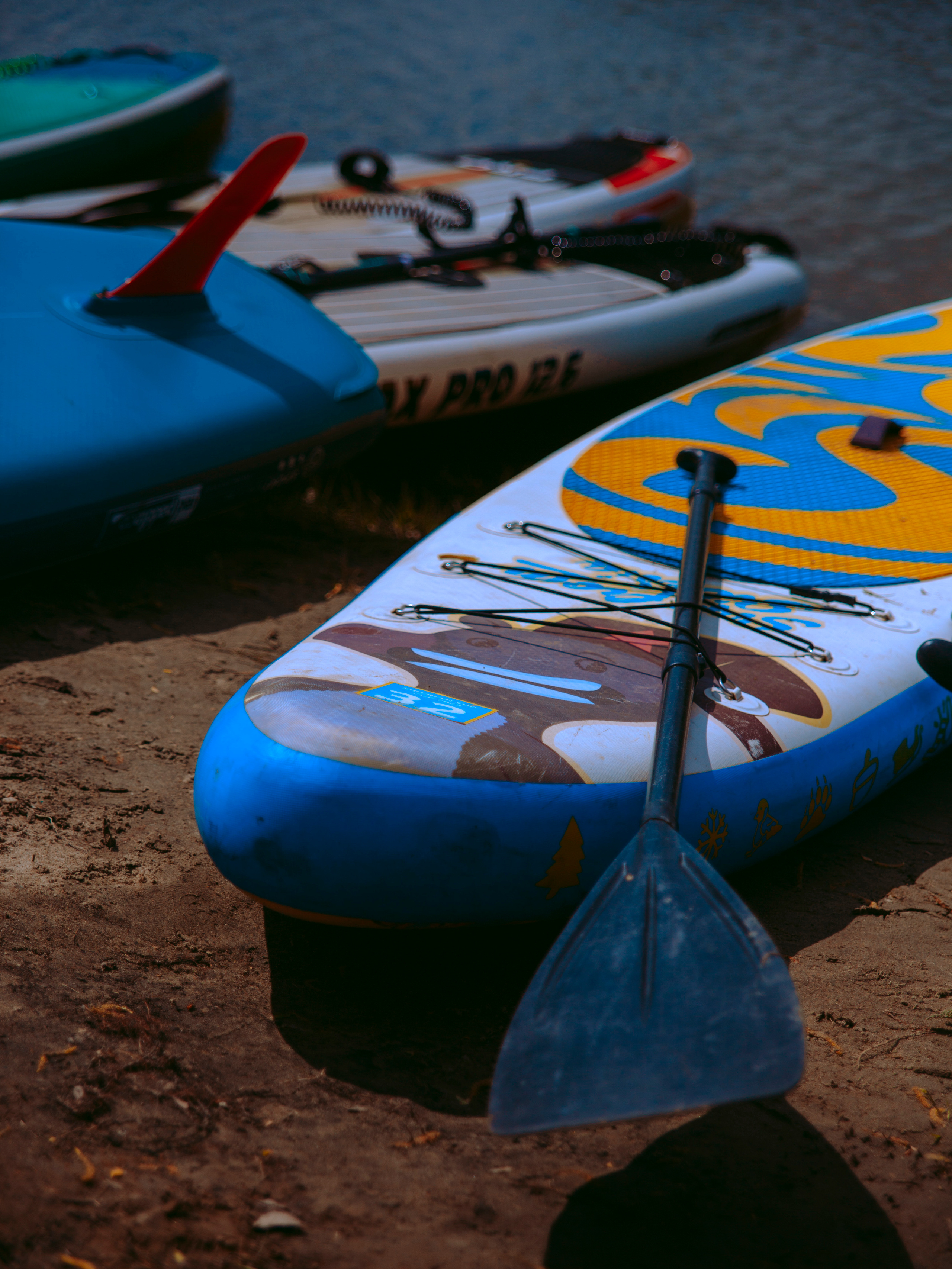 Соревнования и фестиваль по sup-серфингу в Новосибирске.