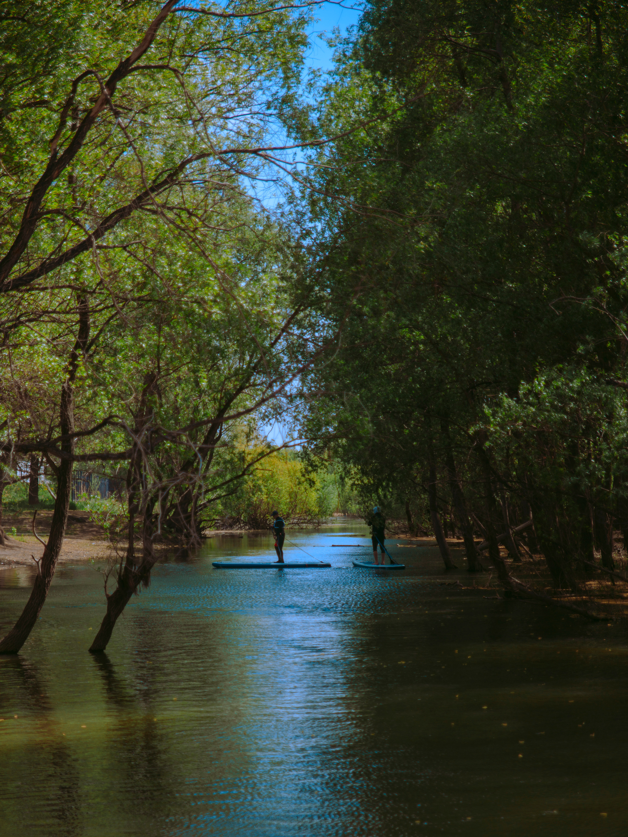 Залив в Новосибирске.
