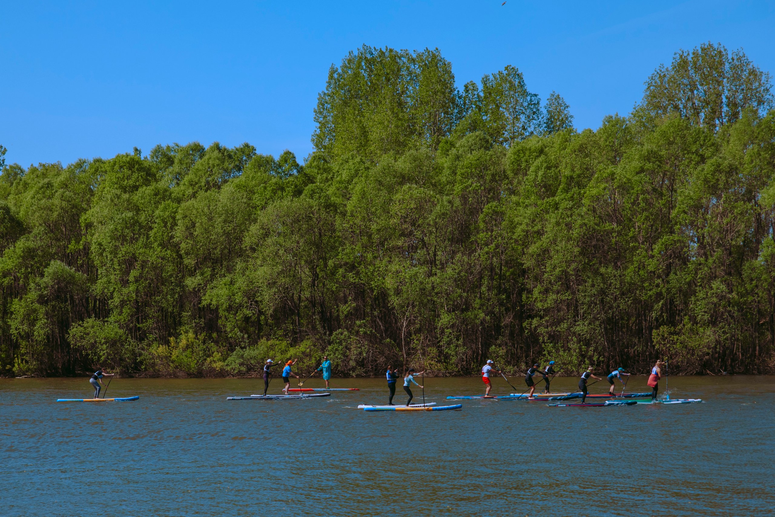 Соревнования и фестиваль по сап-серфингу.