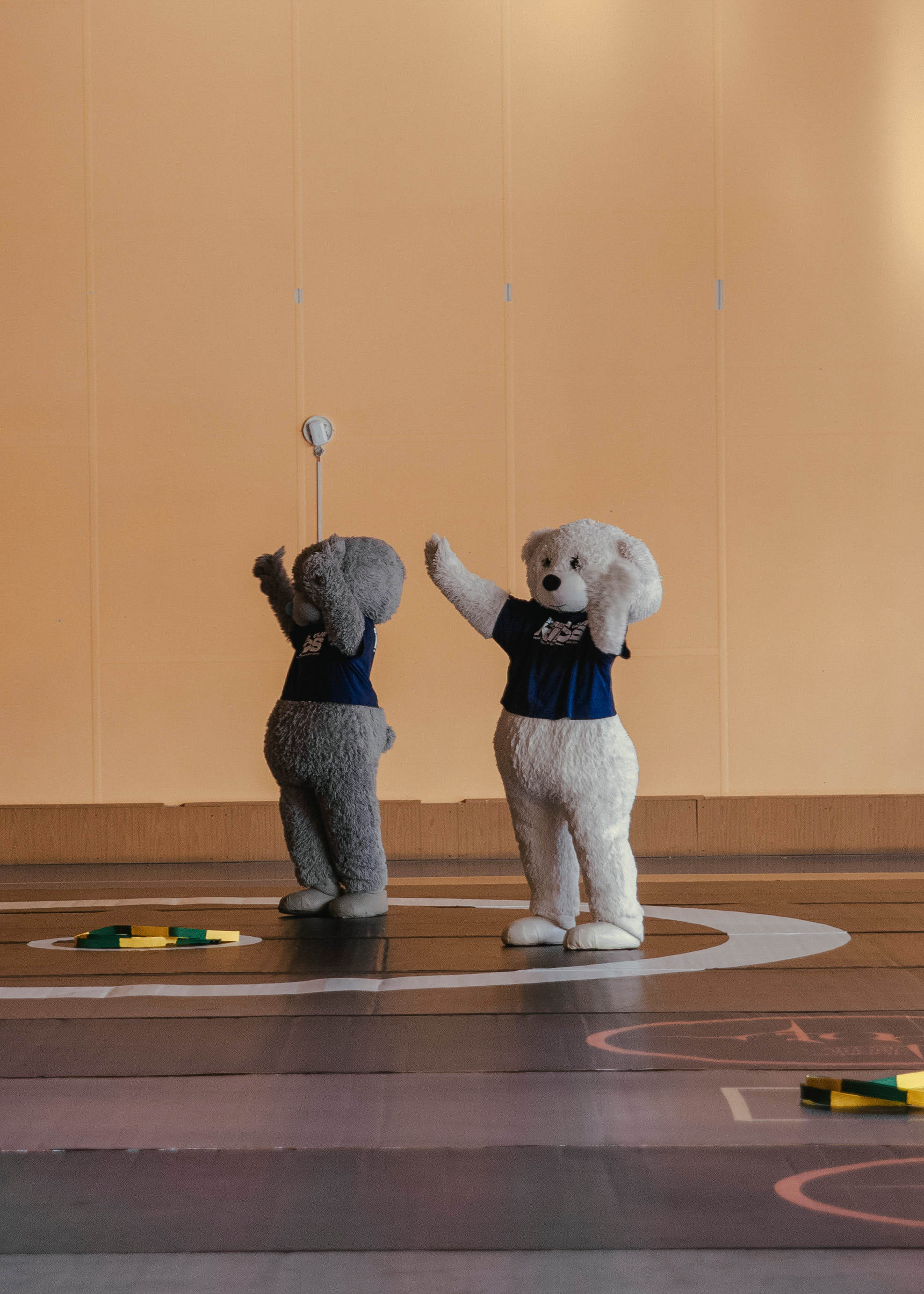 Ростовые куклы медведи маскоты на спортивных соревнованиях.