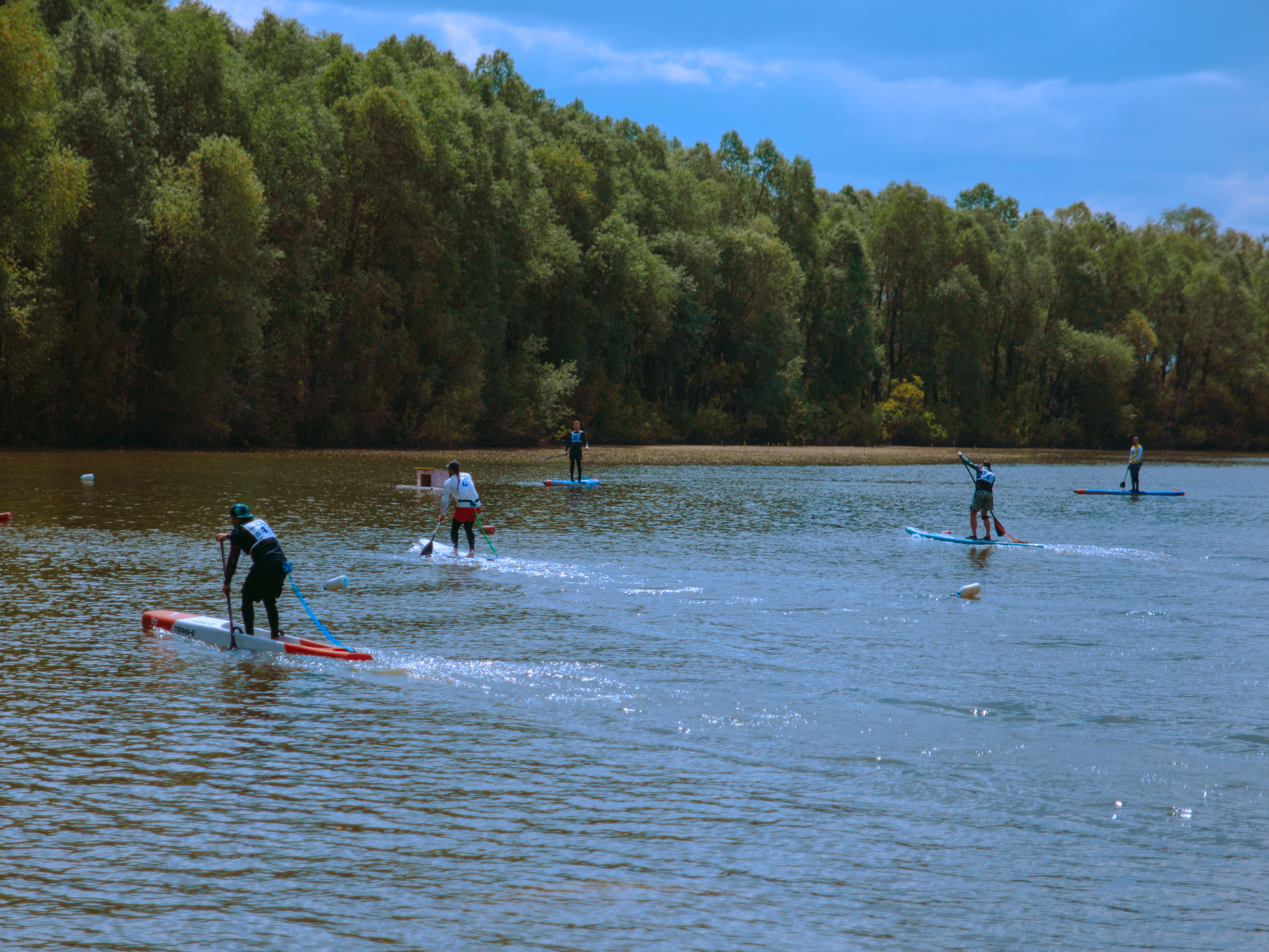 Соревнования и фестиваль по sup-серфингу в Новосибирске.