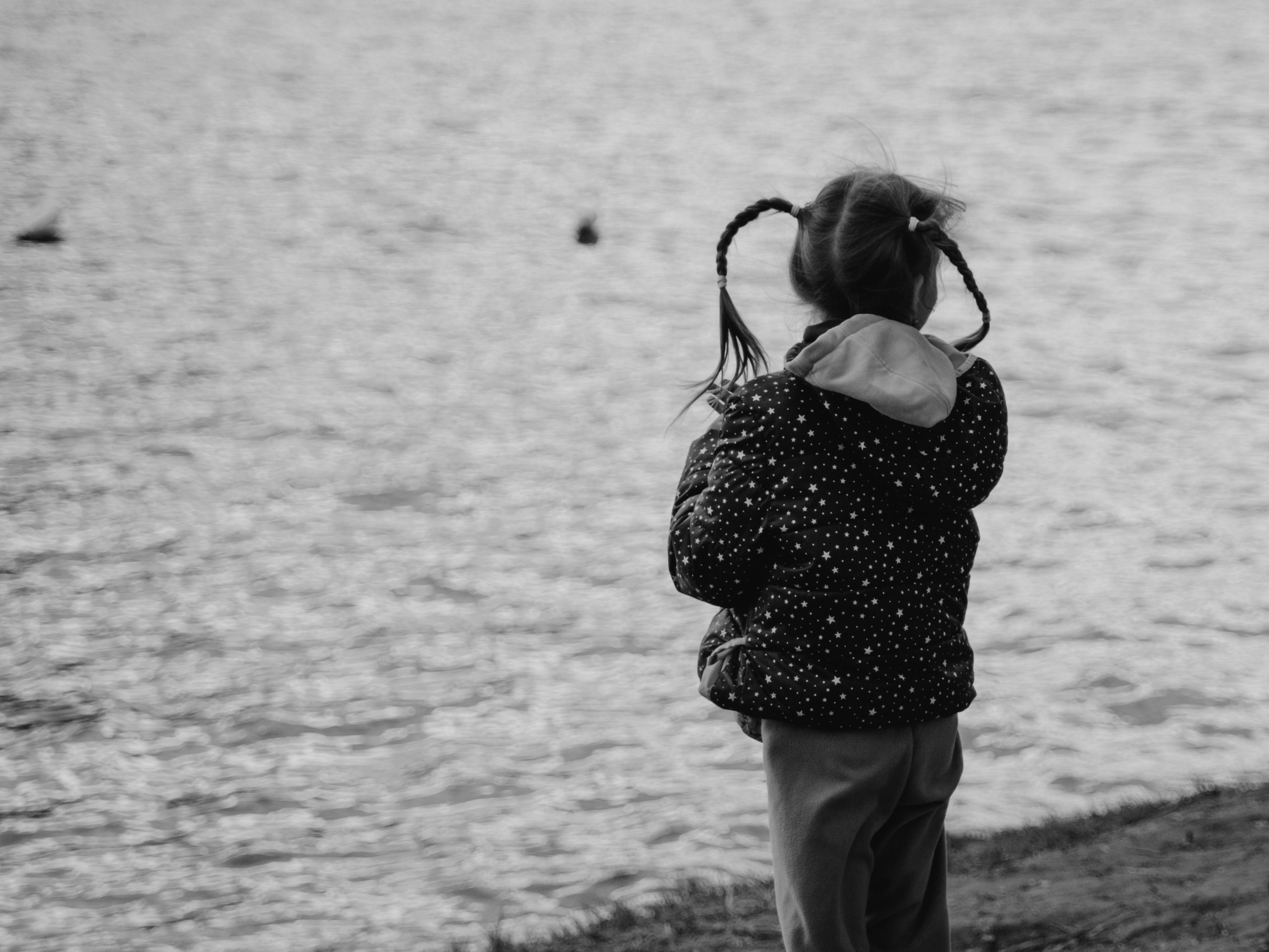 Девочка с косичками чб.