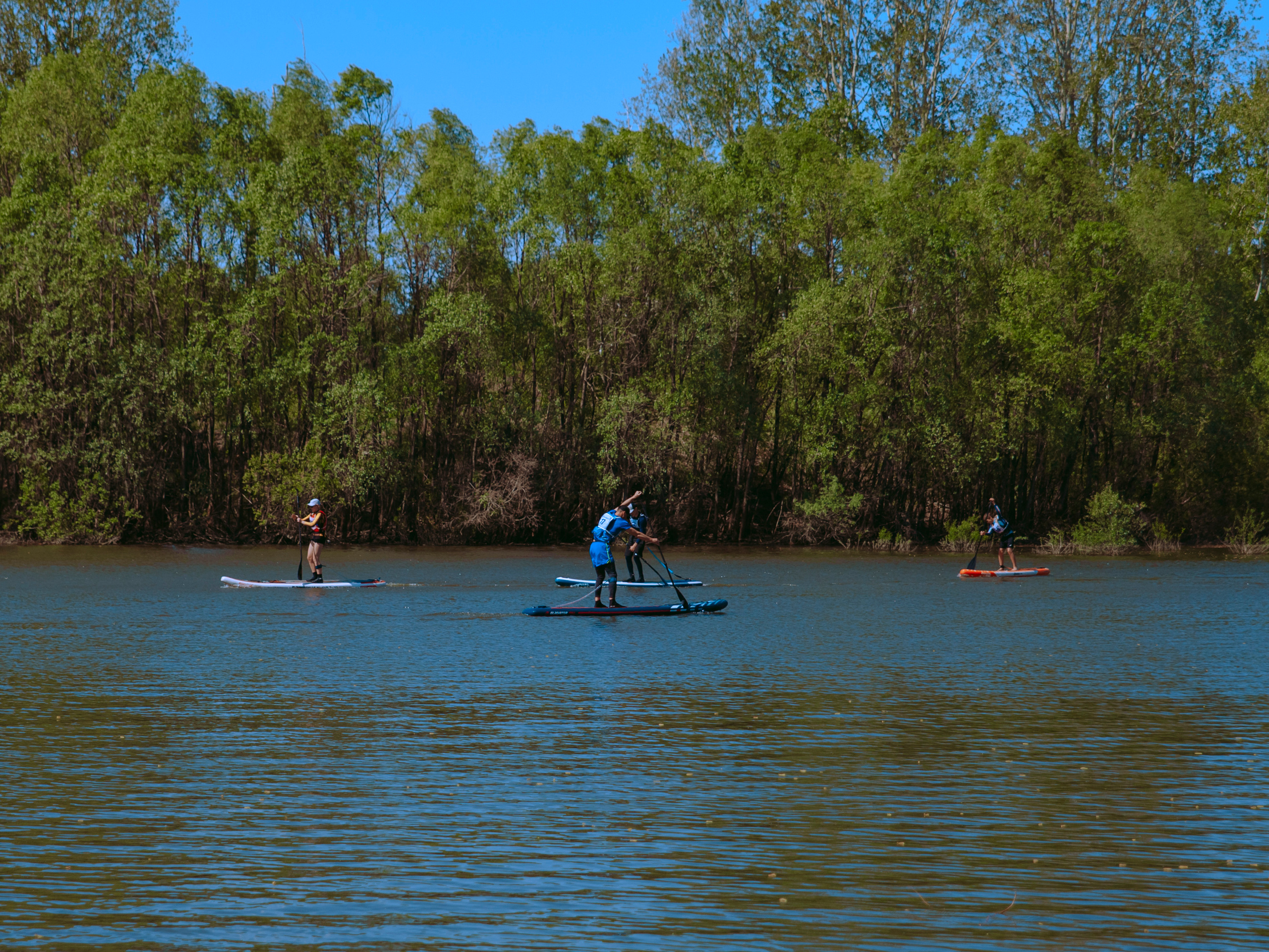 Соревнования и фестиваль по сап-серфингу.