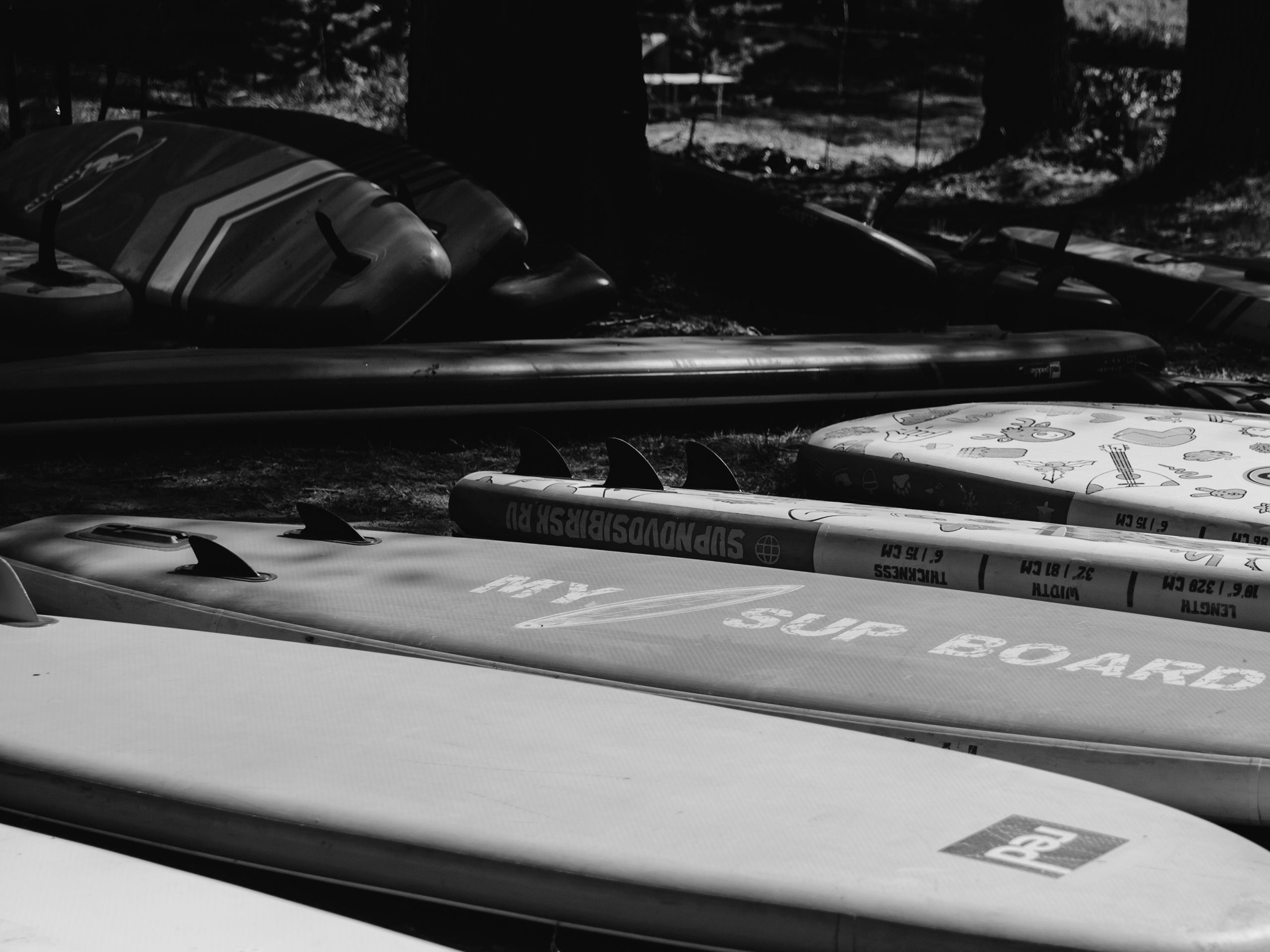 Сапы лежат на берегу чб.