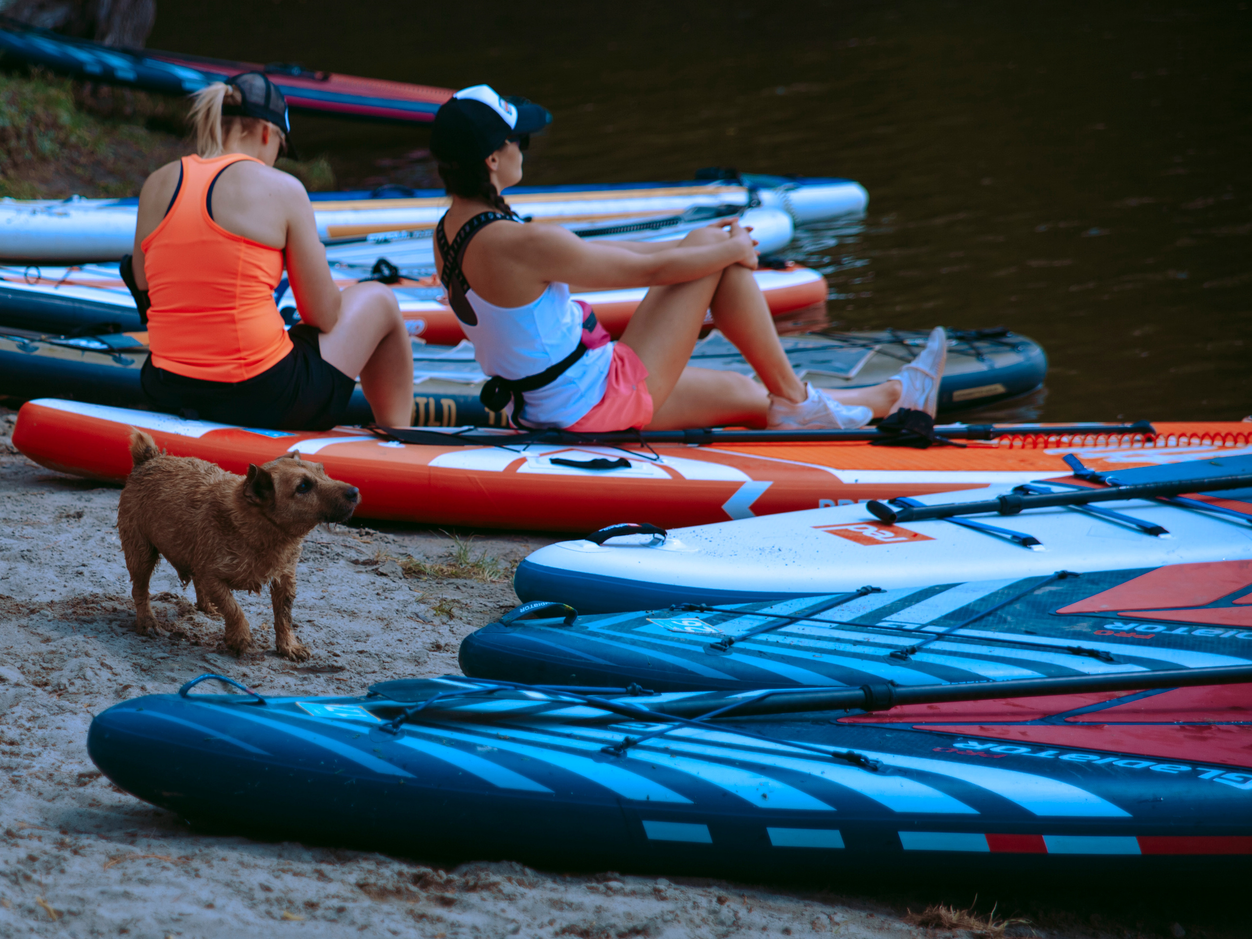 Соревнования и фестиваль по sup-серфингу в Новосибирске.