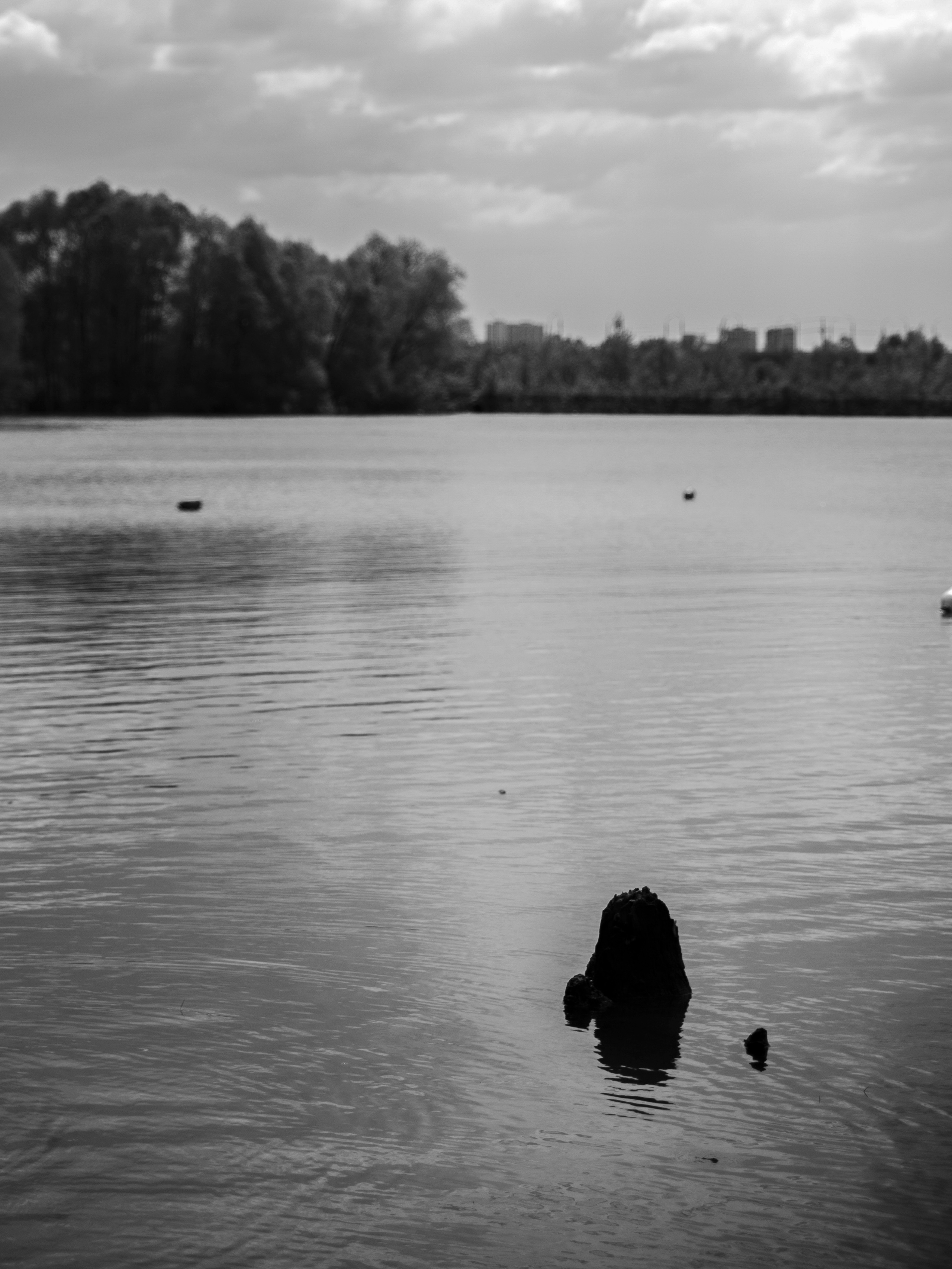 Чб фото природы, камень в воде на фоне деревьев.